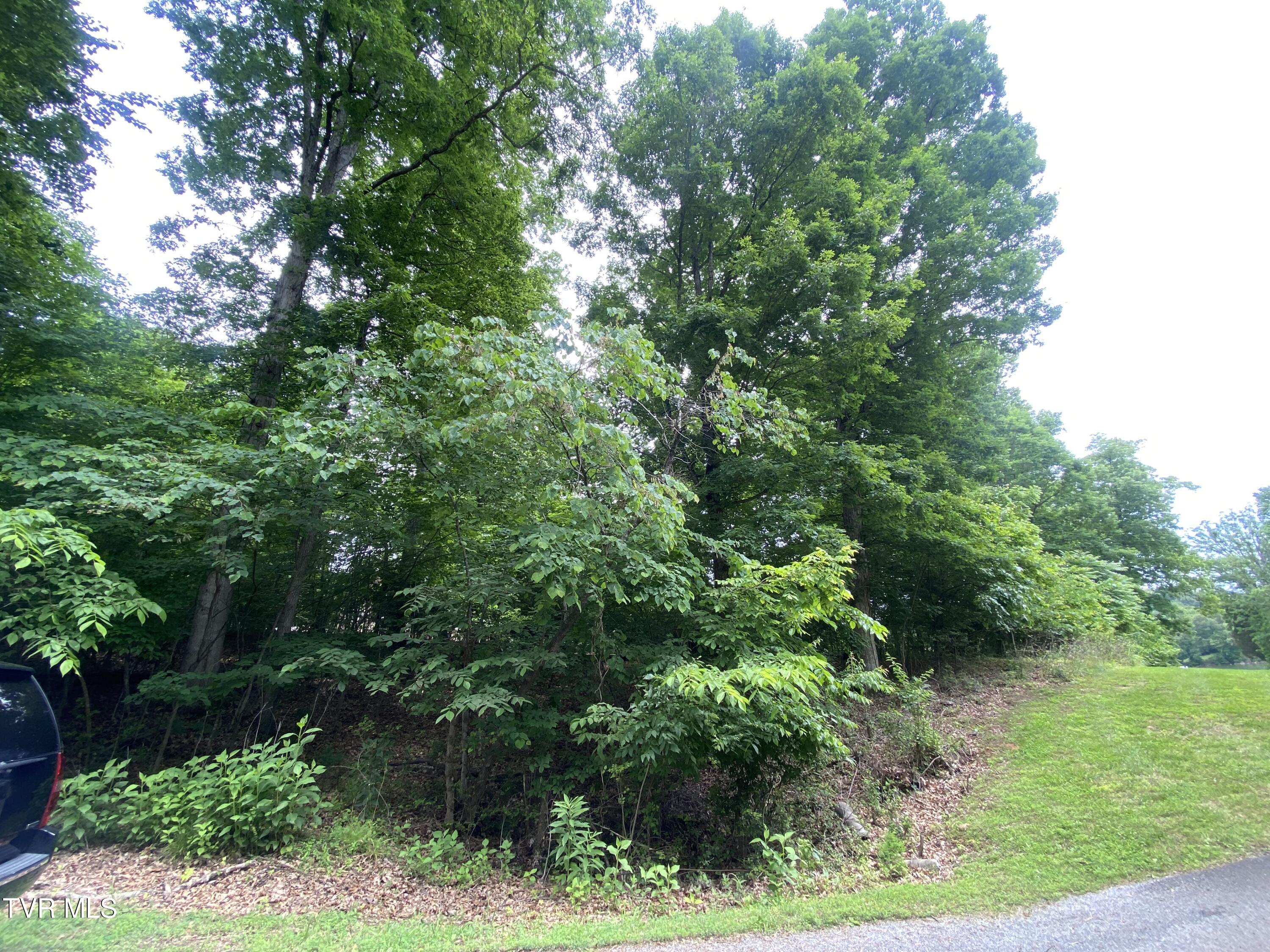 278 Candy Creek Pvt Drive, Blountville, Tennessee image 3