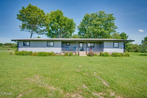 Homes For Sale - 100 Democrat Road<br/> Mohawk, TN 37810