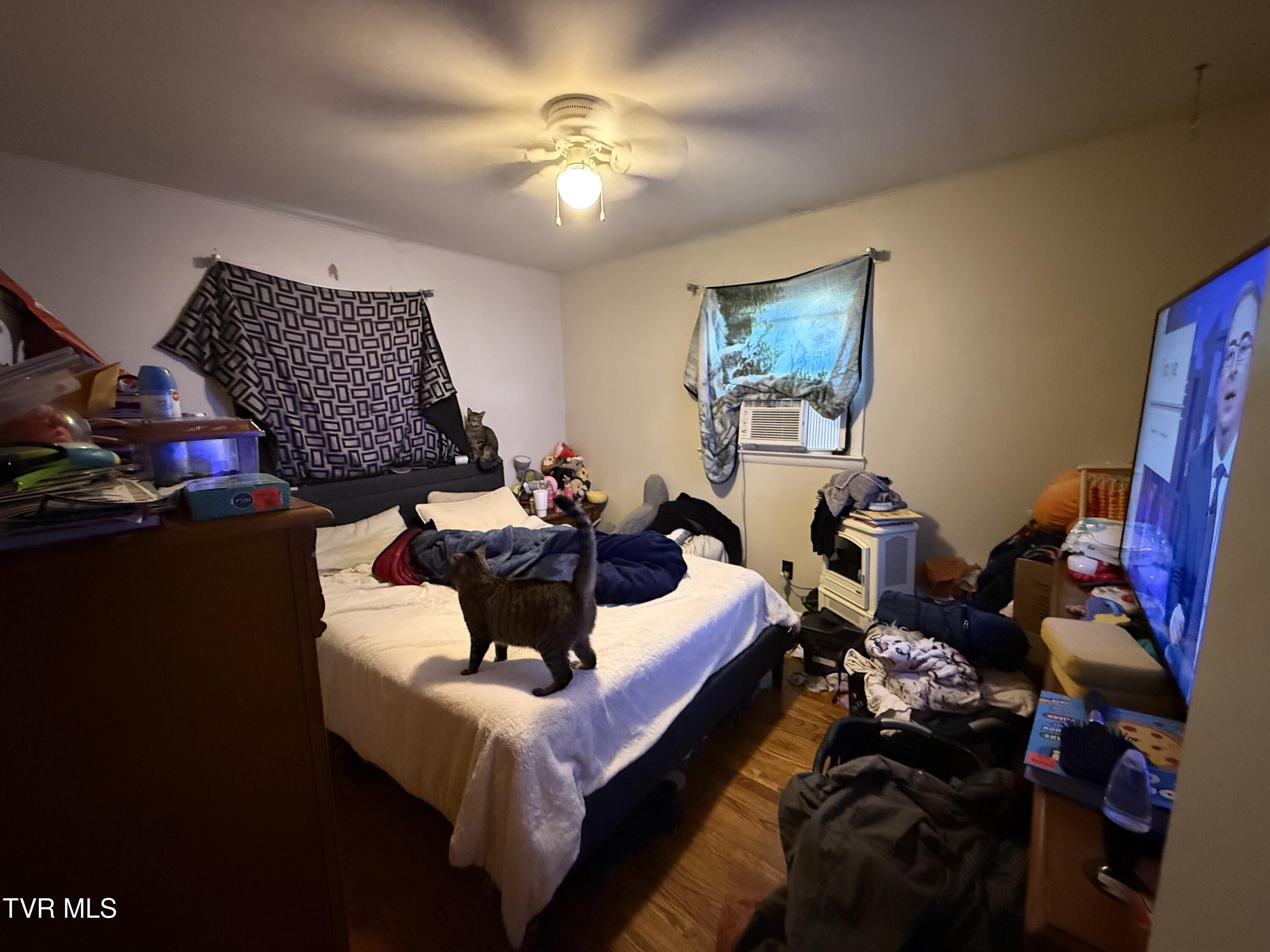 467 Bunker Hill Road, Bluff City, Tennessee image 3