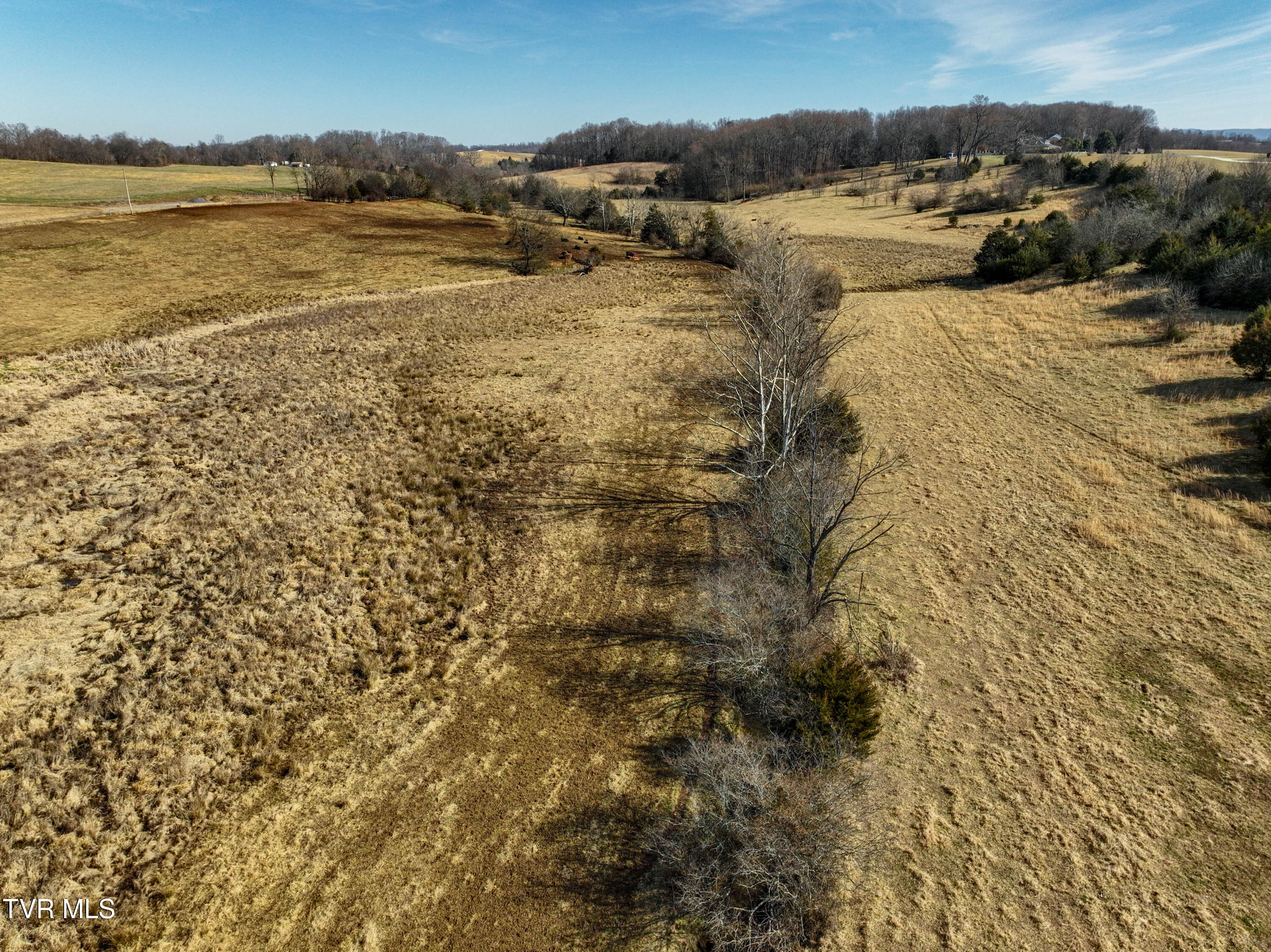 Tbd Old State Route 34, Limestone, Tennessee image 27
