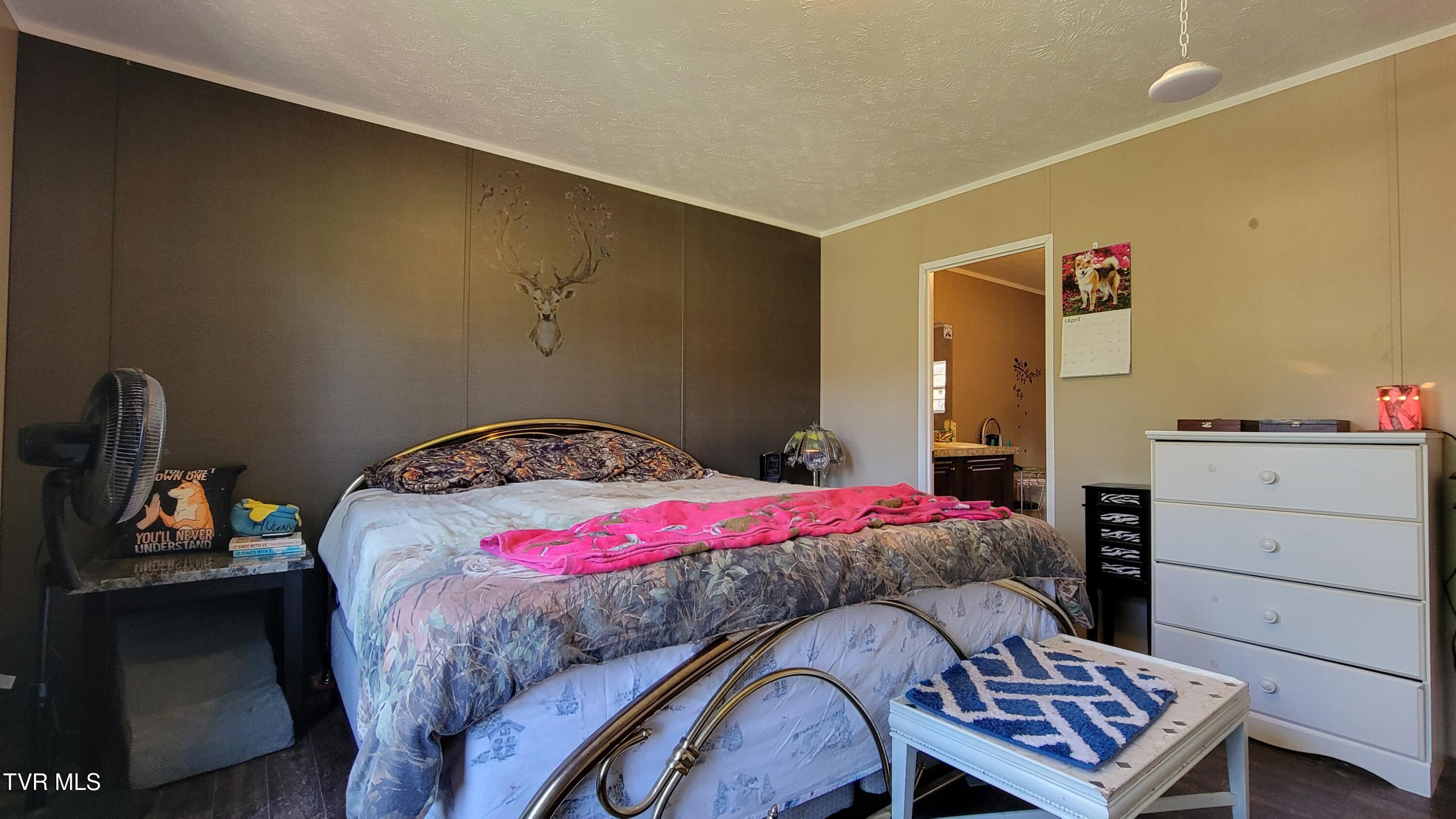 1229 Pleasant Valley Road, Mountain City, Tennessee image 13