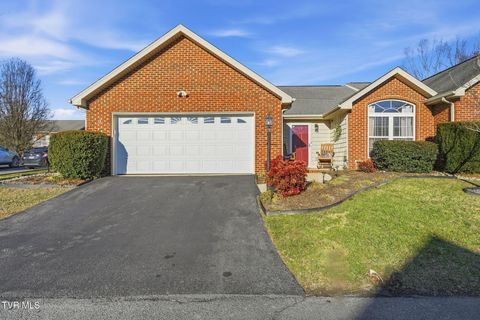 Photo of 54 Boone Hill Court #54, Johnson City, TN 37615 (MLS # 9990354)
