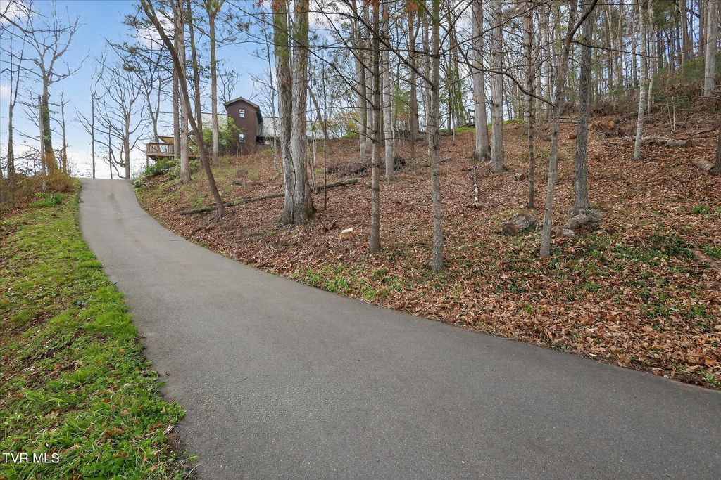 Photo of 135 Hiddenwood Drive, Mountain City, TN 37683 (MLS # 9993313)