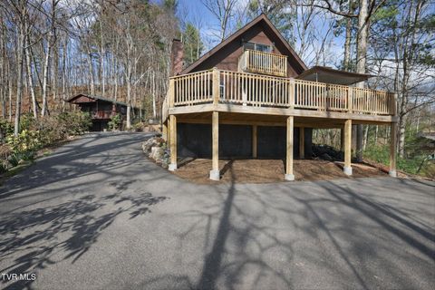 Photo of 135 Hiddenwood Drive, Mountain City, TN 37683 (MLS # 9993313)