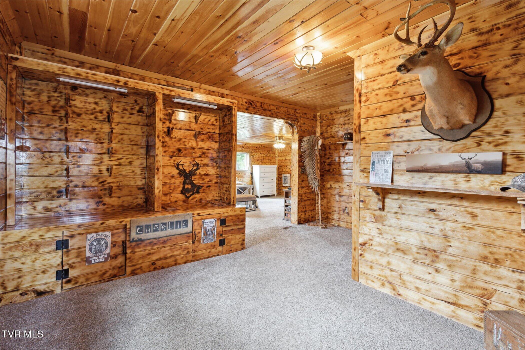 620 Swift Hollow Lane, Mountain City, Tennessee image 39