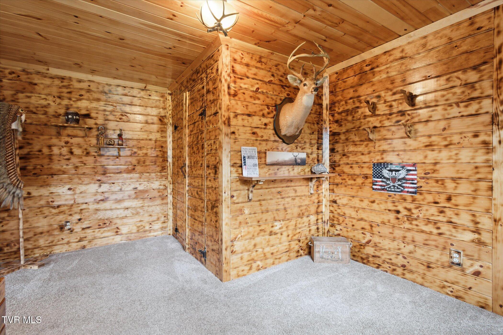 620 Swift Hollow Lane, Mountain City, Tennessee image 40