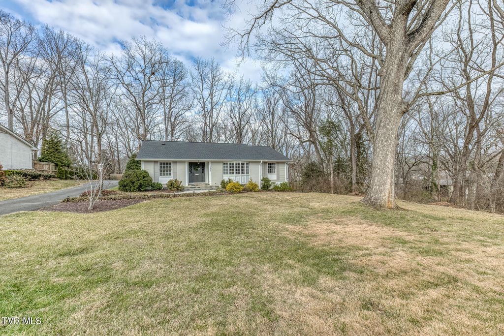Photo of 1607 Woodmont Drive, Johnson City, TN 37601 (MLS # 9989535)