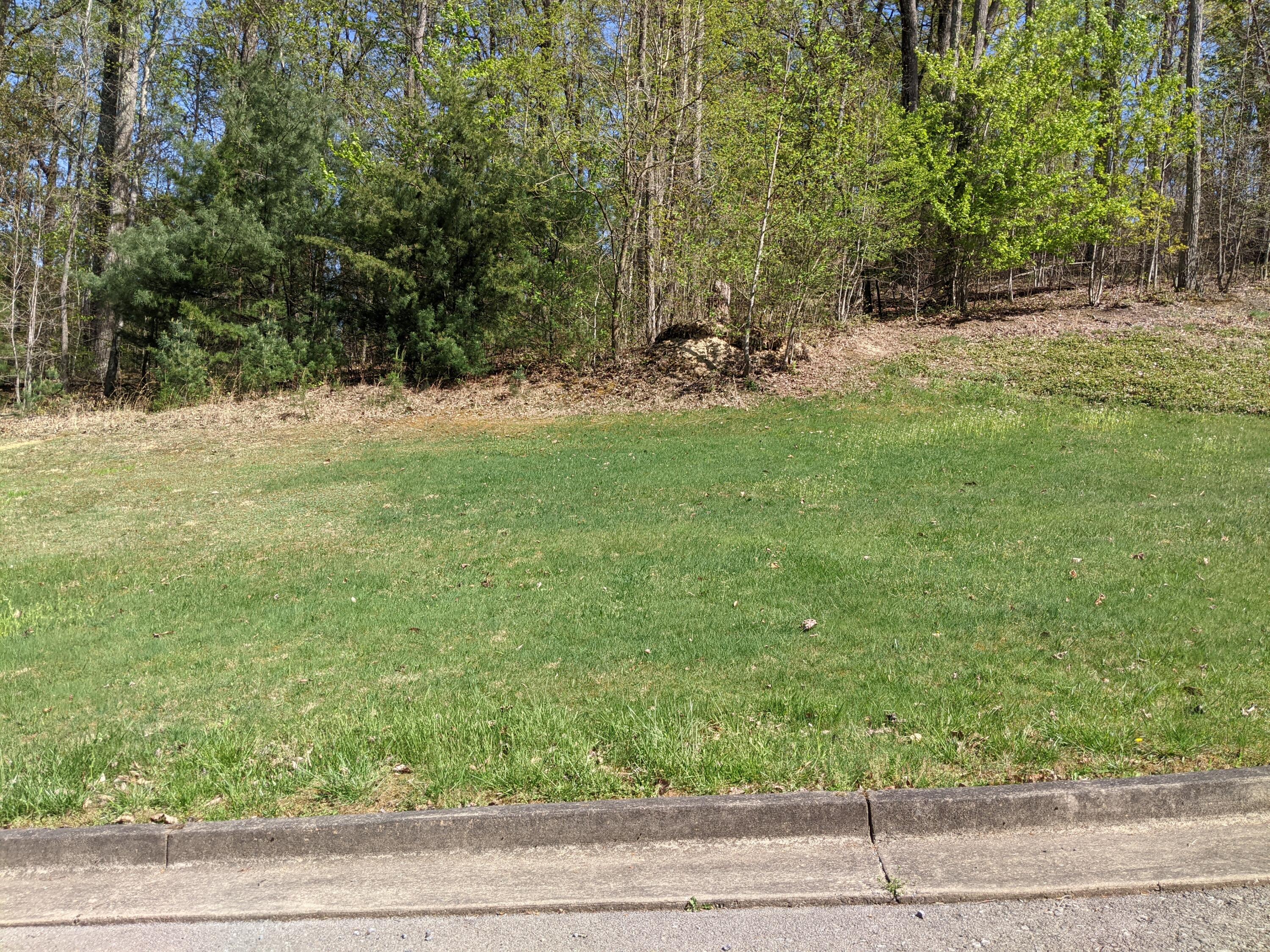 5 Serenity Rdg Trail, Bristol, Tennessee image 1