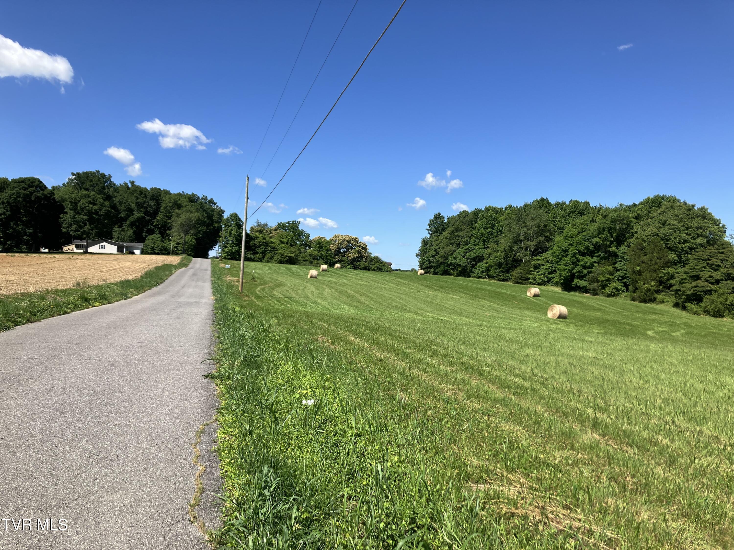 Armentout Rd, Telford, Tennessee image 2
