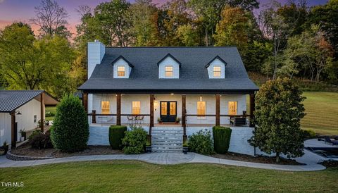 Photo of 367 Isley Drive, Blountville, TN 37617 (MLS # 9988635)