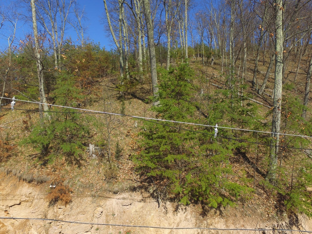 1167 Keetoowah Drive, Mooresburg, Tennessee image 13