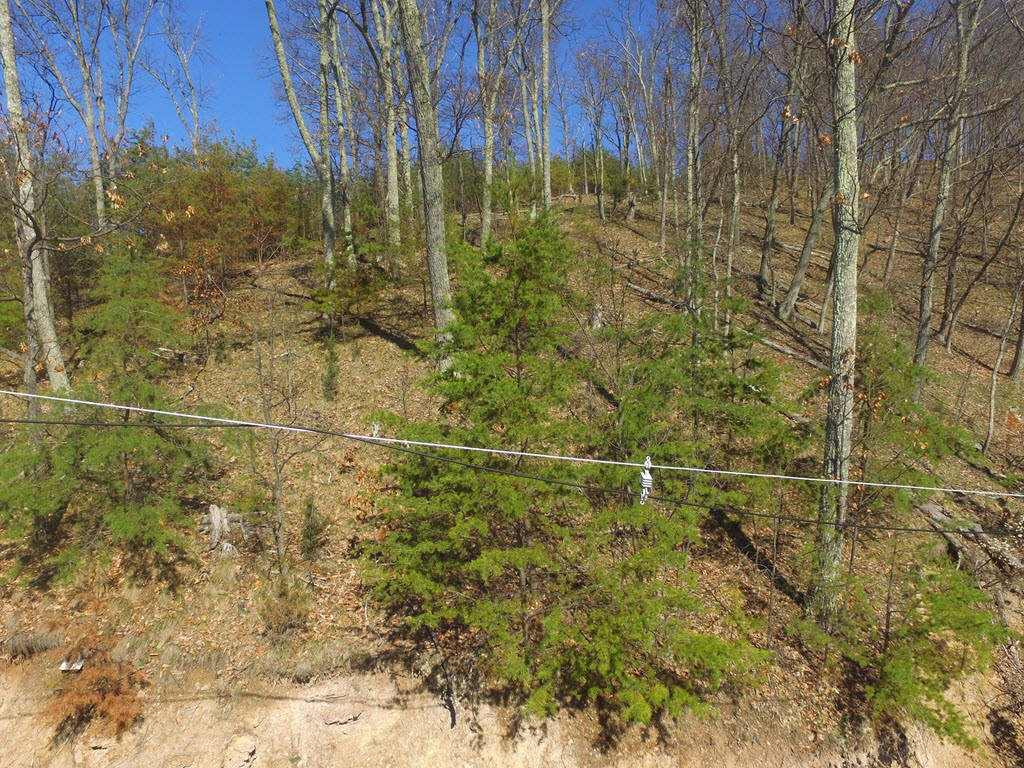 1167 Keetoowah Drive, Mooresburg, Tennessee image 15