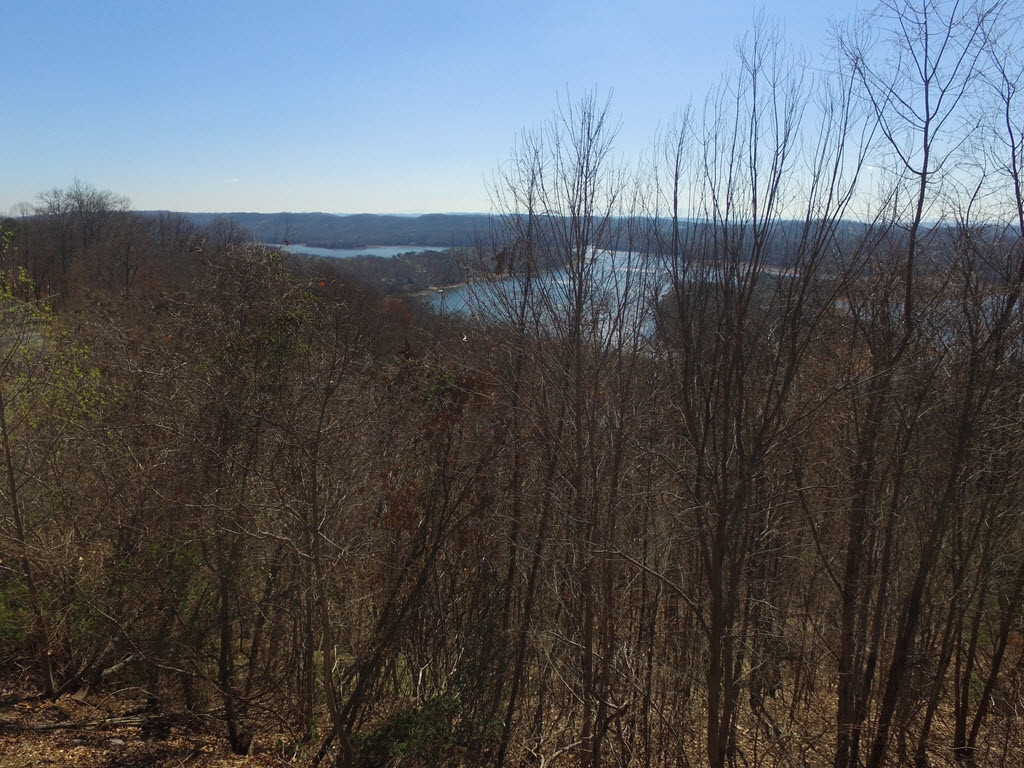1167 Keetoowah Drive, Mooresburg, Tennessee image 11