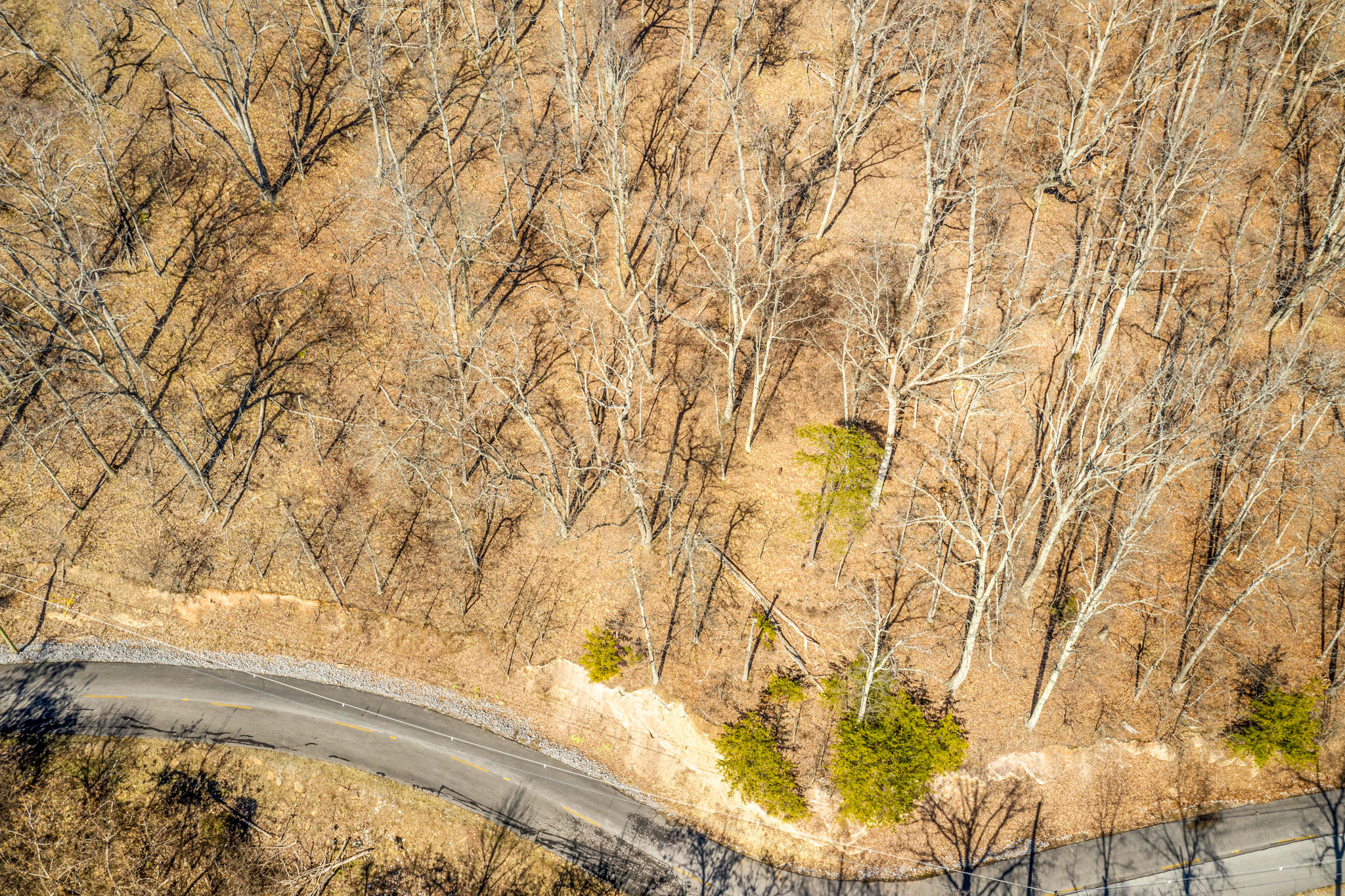 1167 Keetoowah Drive, Mooresburg, Tennessee image 2