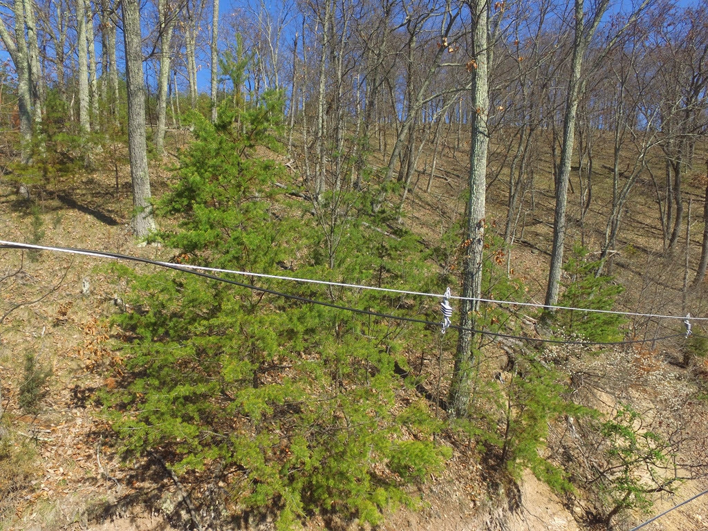 1167 Keetoowah Drive, Mooresburg, Tennessee image 22