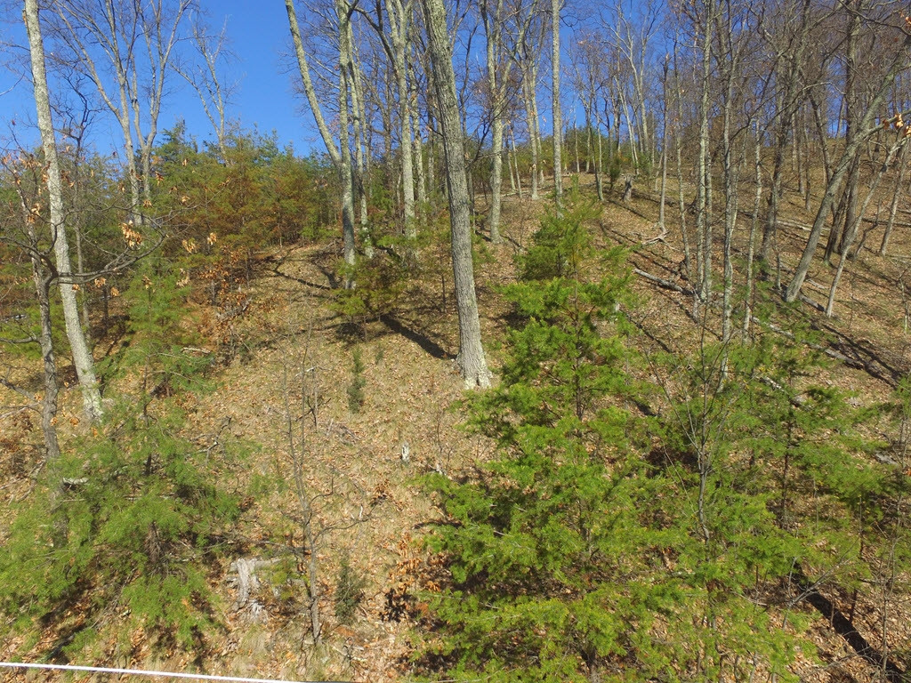 1167 Keetoowah Drive, Mooresburg, Tennessee image 6