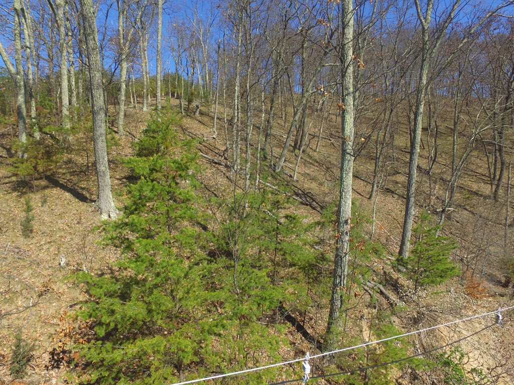 1167 Keetoowah Drive, Mooresburg, Tennessee image 24