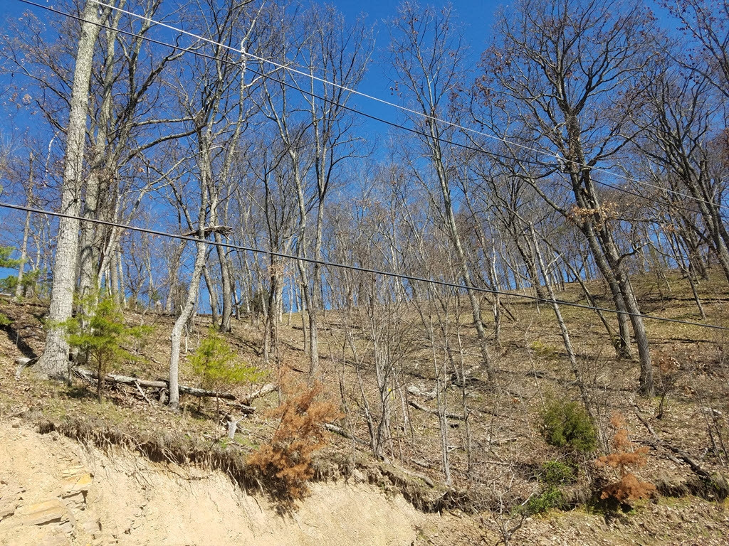 1167 Keetoowah Drive, Mooresburg, Tennessee image 12