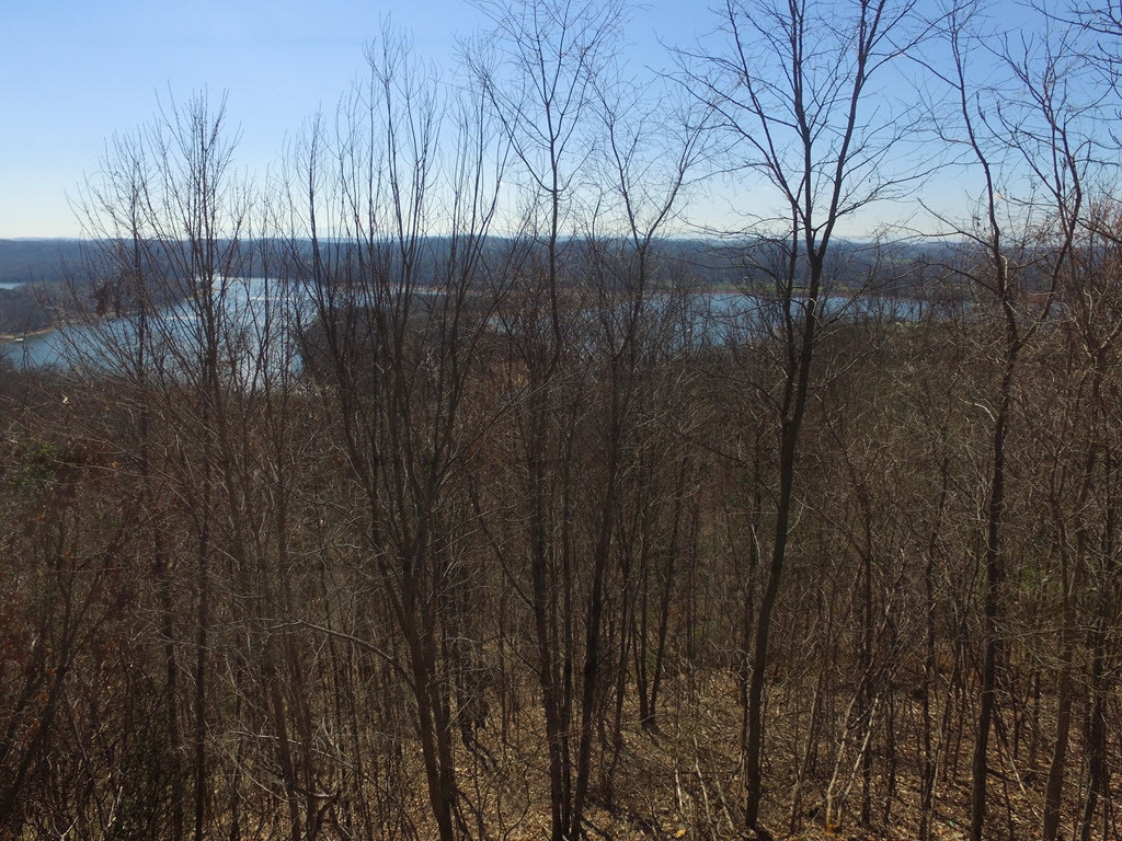 1167 Keetoowah Drive, Mooresburg, Tennessee image 10