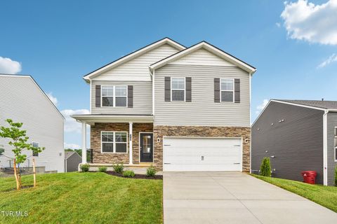 319 Terrapin Drive Johnson City TN 37604