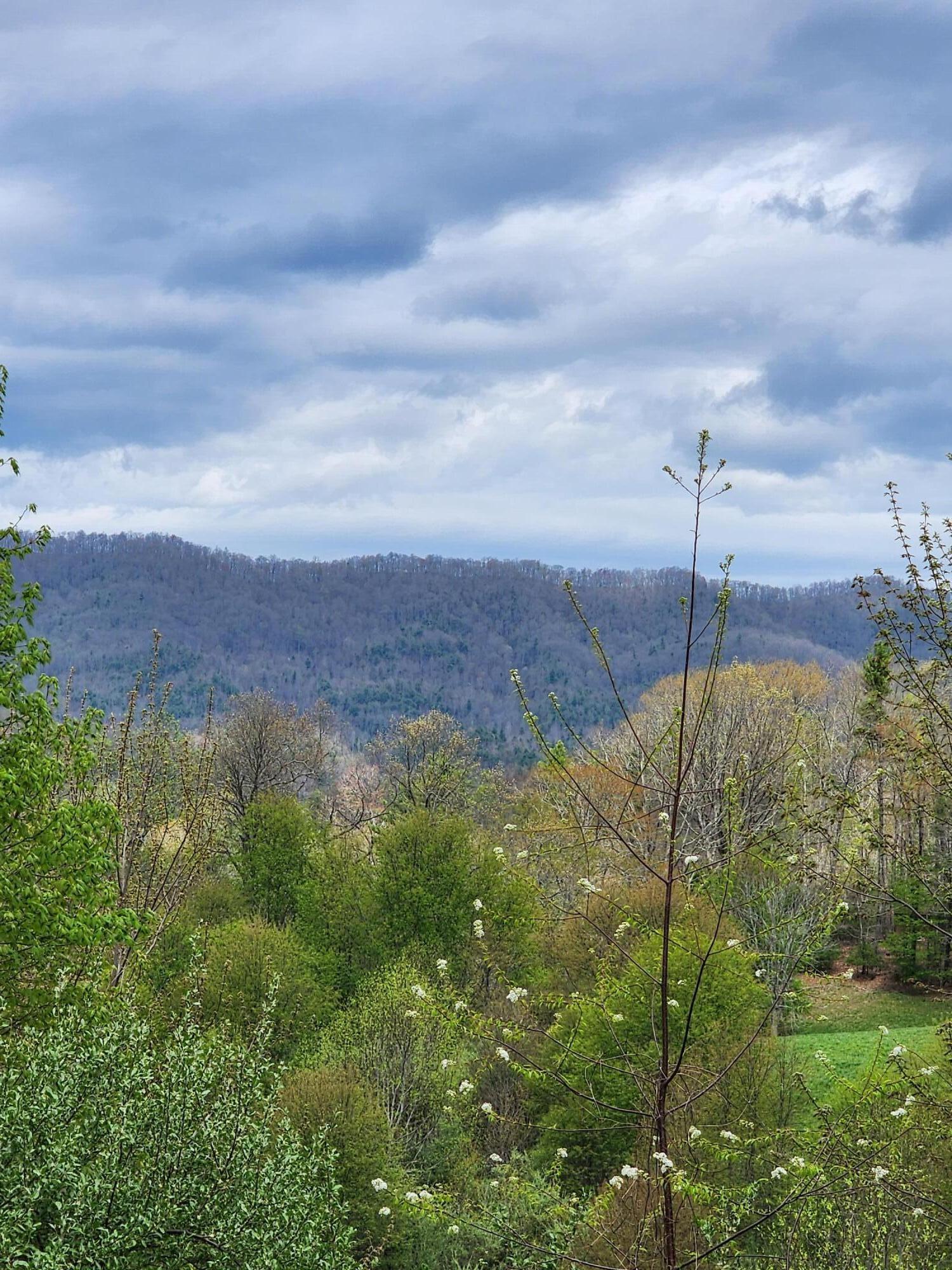Tbd Laurelwood Lane, Mountain City, Tennessee image 10