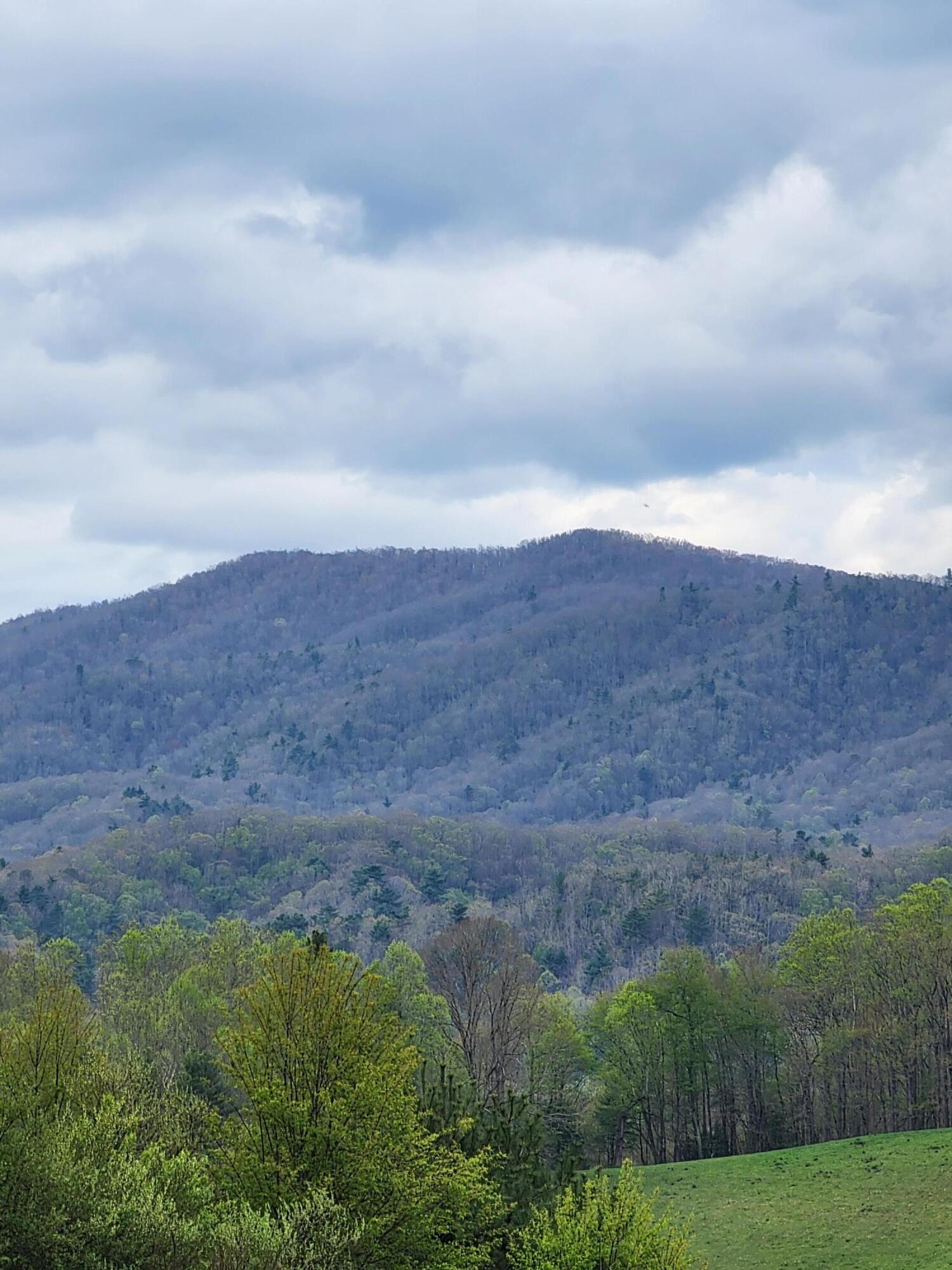 Tbd Laurelwood Lane, Mountain City, Tennessee image 7