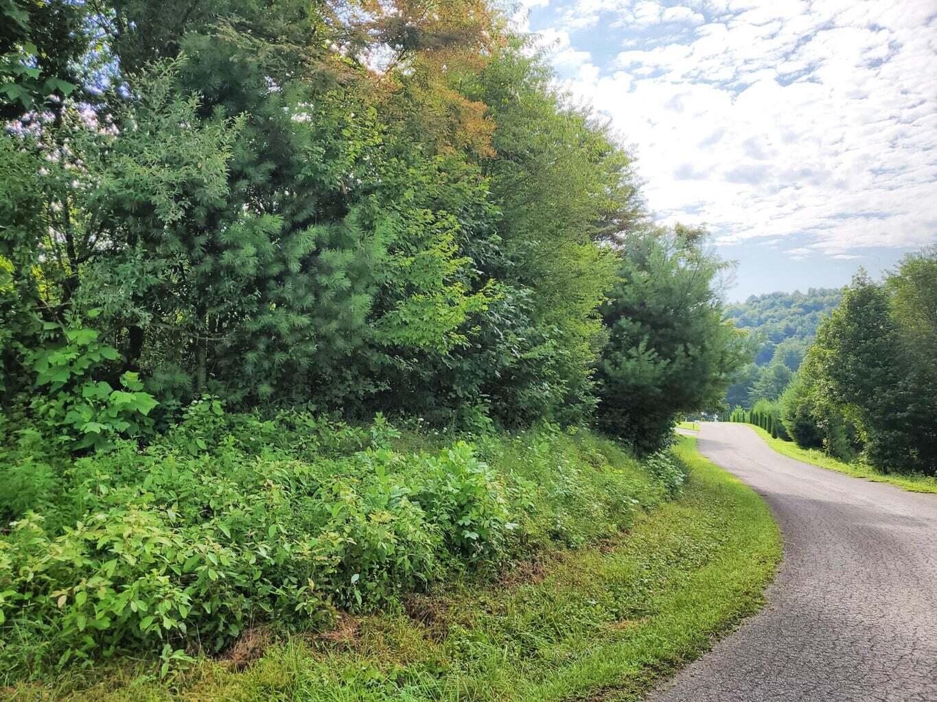 Tbd Laurelwood Lane, Mountain City, Tennessee image 18