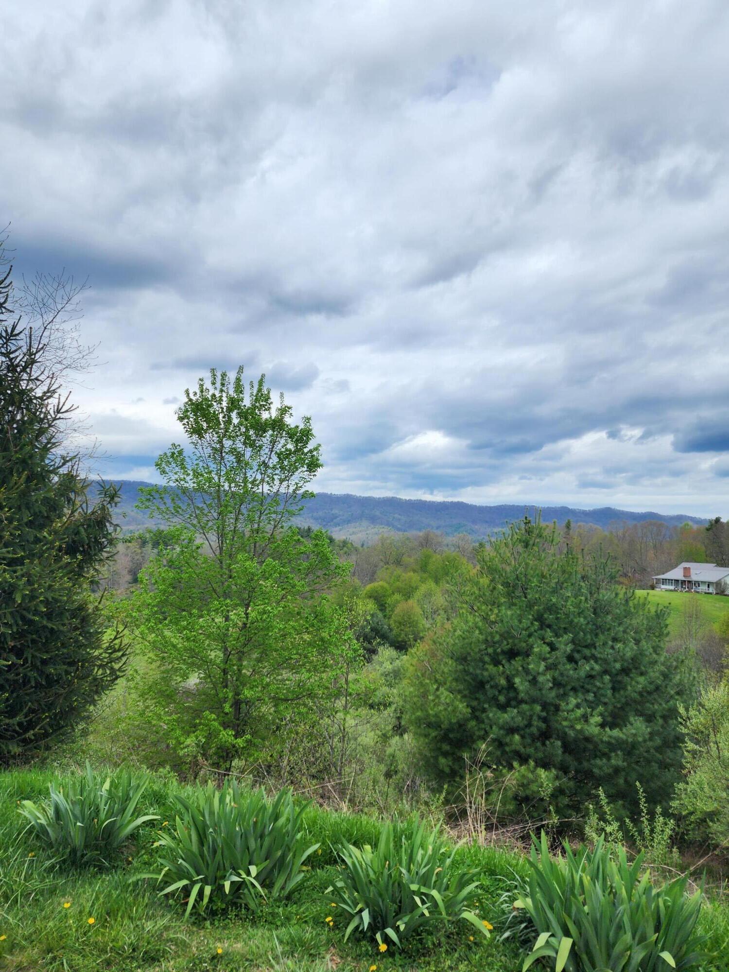 Tbd Laurelwood Lane, Mountain City, Tennessee image 9