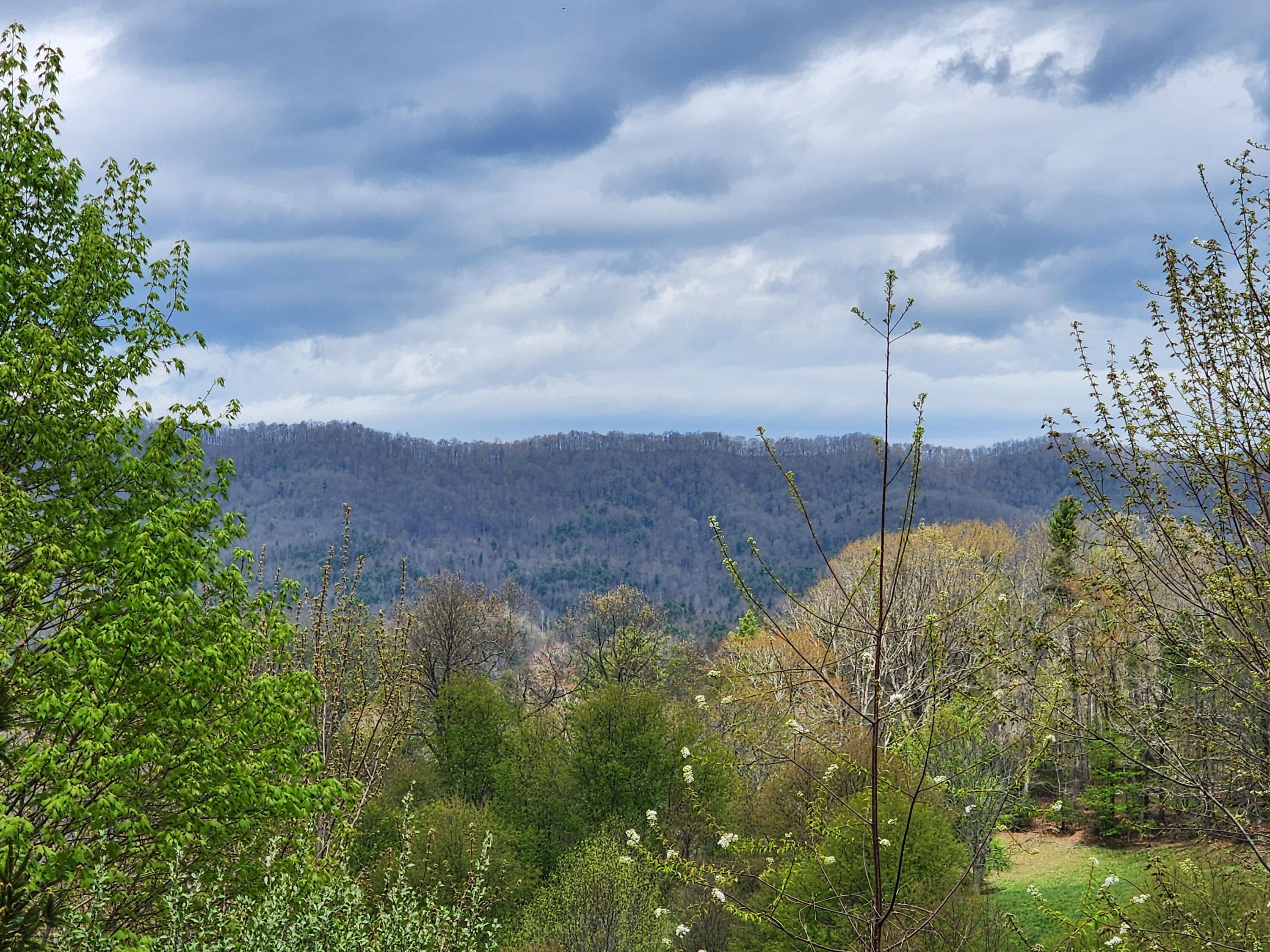 Tbd Laurelwood Lane, Mountain City, Tennessee image 8