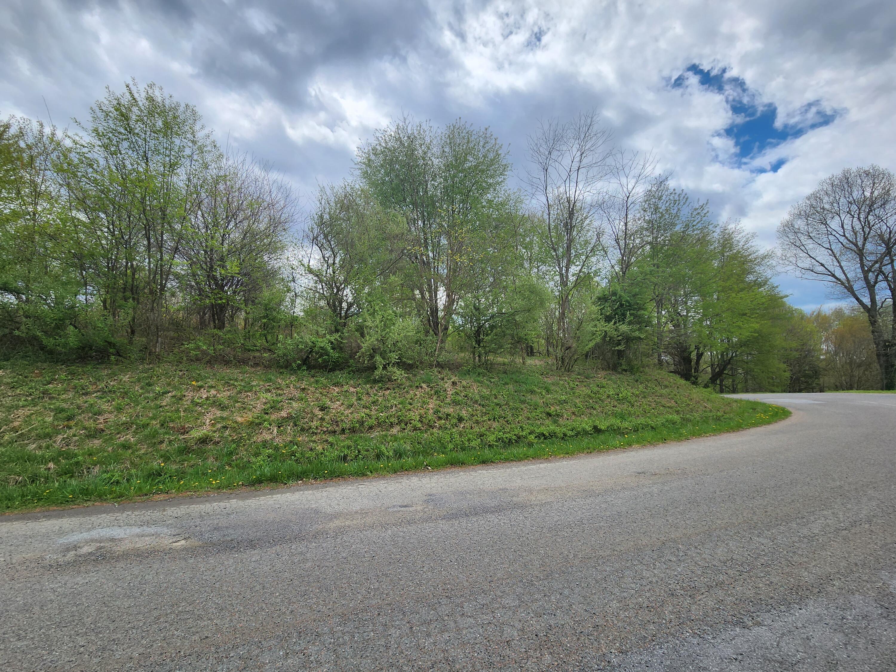 Tbd Laurelwood Lane, Mountain City, Tennessee image 3