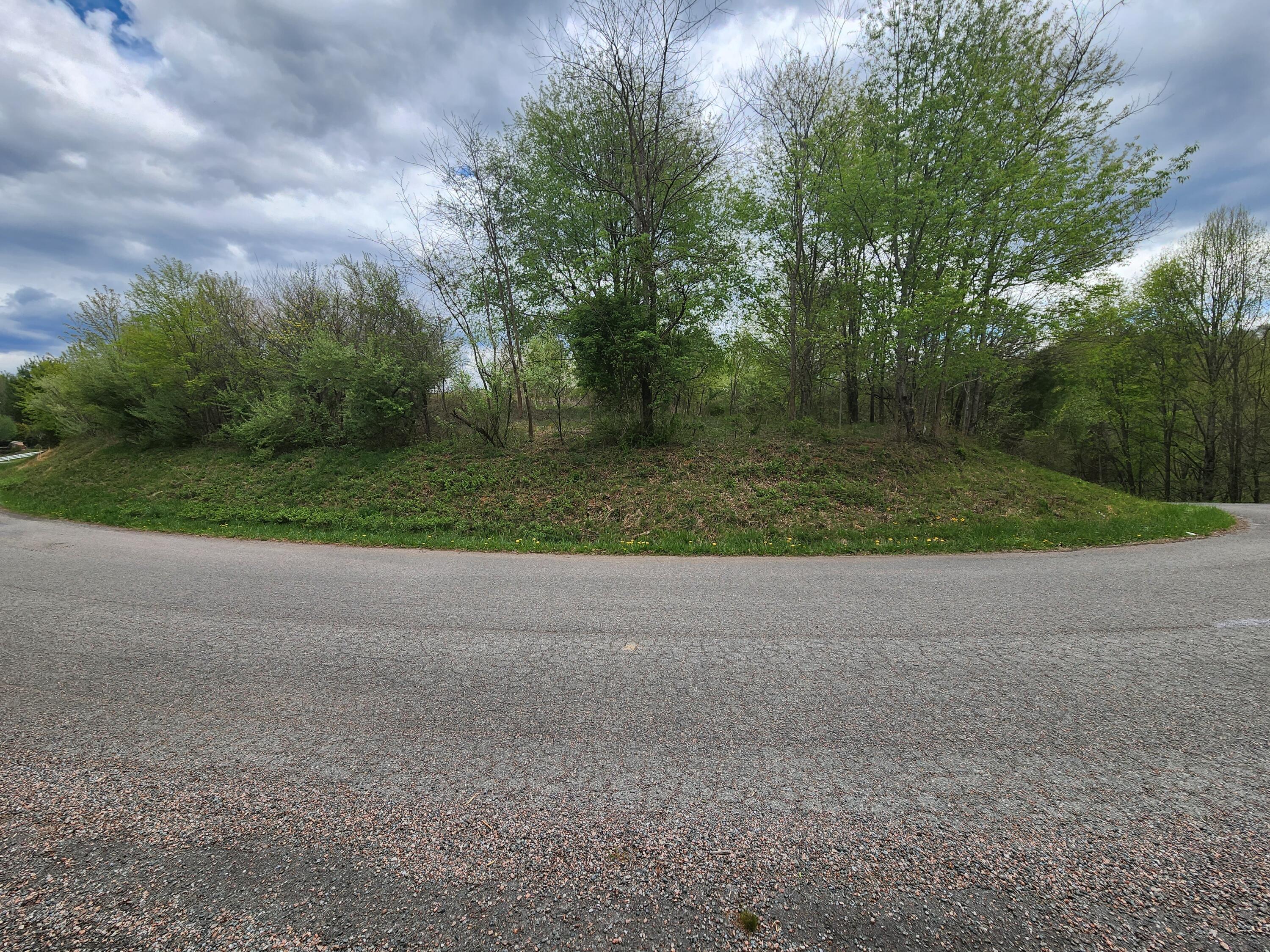 Tbd Laurelwood Lane, Mountain City, Tennessee image 4