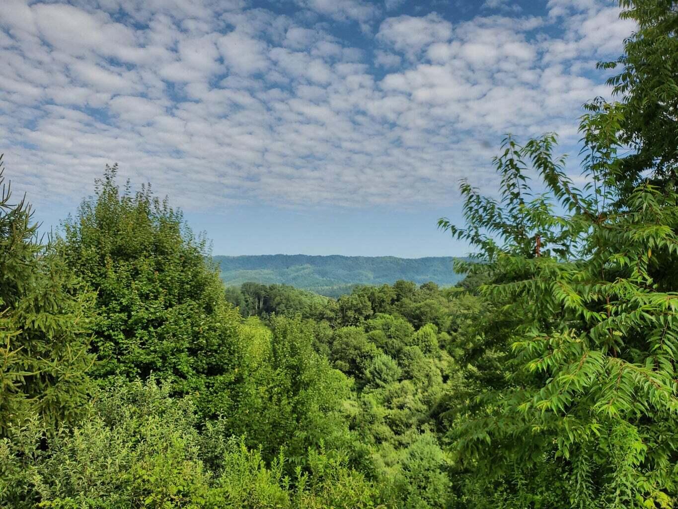 Tbd Laurelwood Lane, Mountain City, Tennessee image 2
