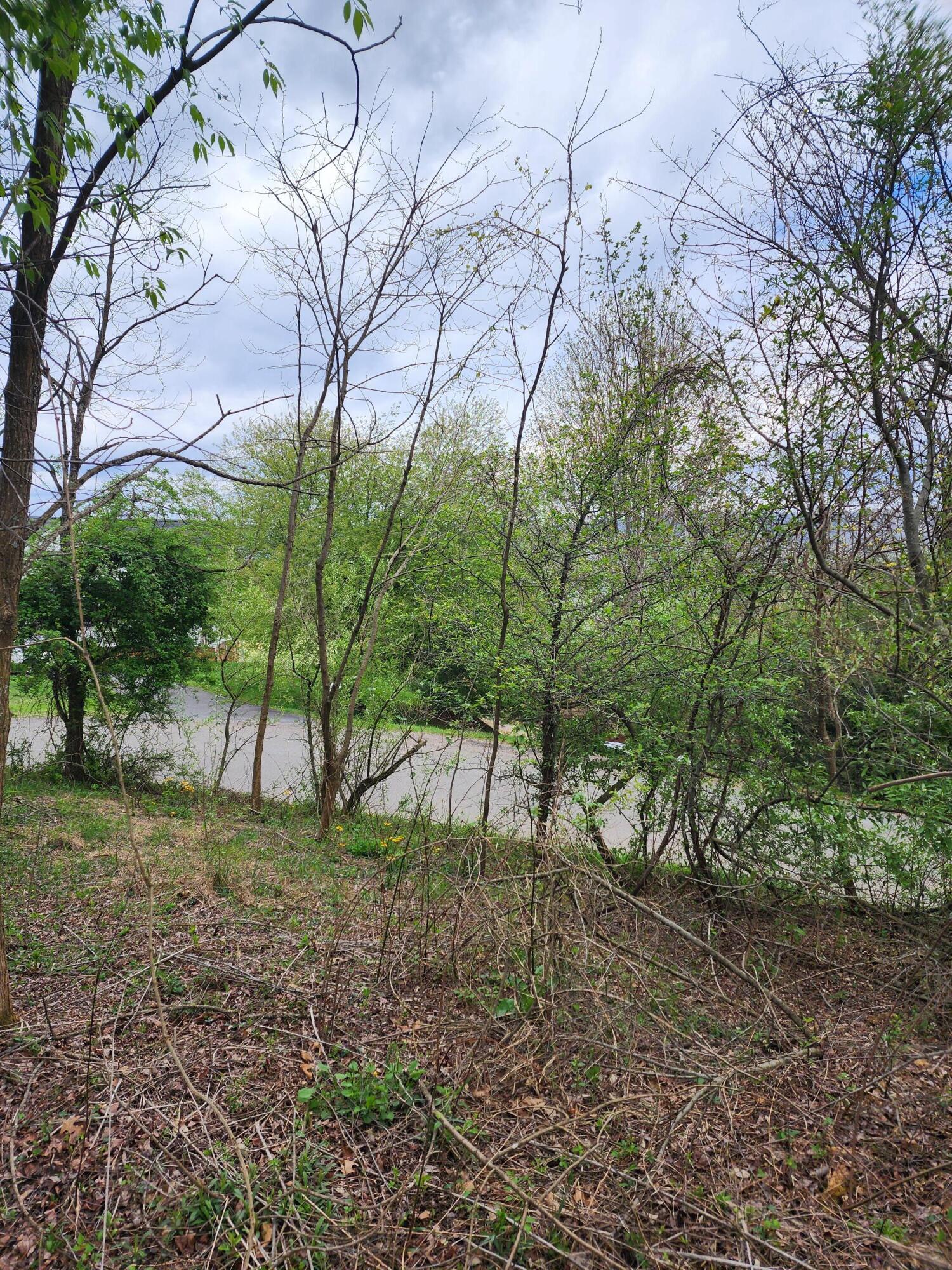 Tbd Laurelwood Lane, Mountain City, Tennessee image 14