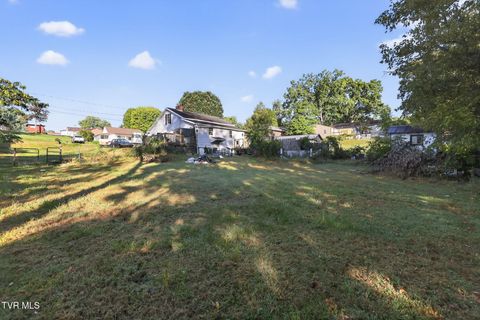 Tiny photo for 324 Kaywood Avenue, Mount Carmel, TN 37645 (MLS # 9986502)