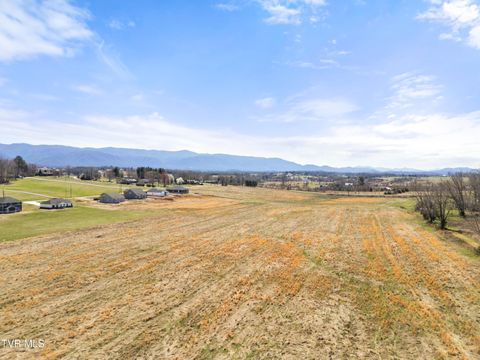 Vacant Land For Sale - LOT 20 Greenwood Road<br/> Afton, TN 37616