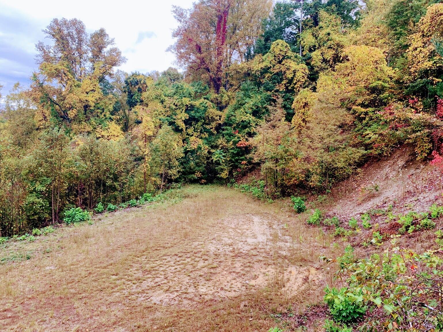 403 Chestnut Circle, Butler, Tennessee image 5