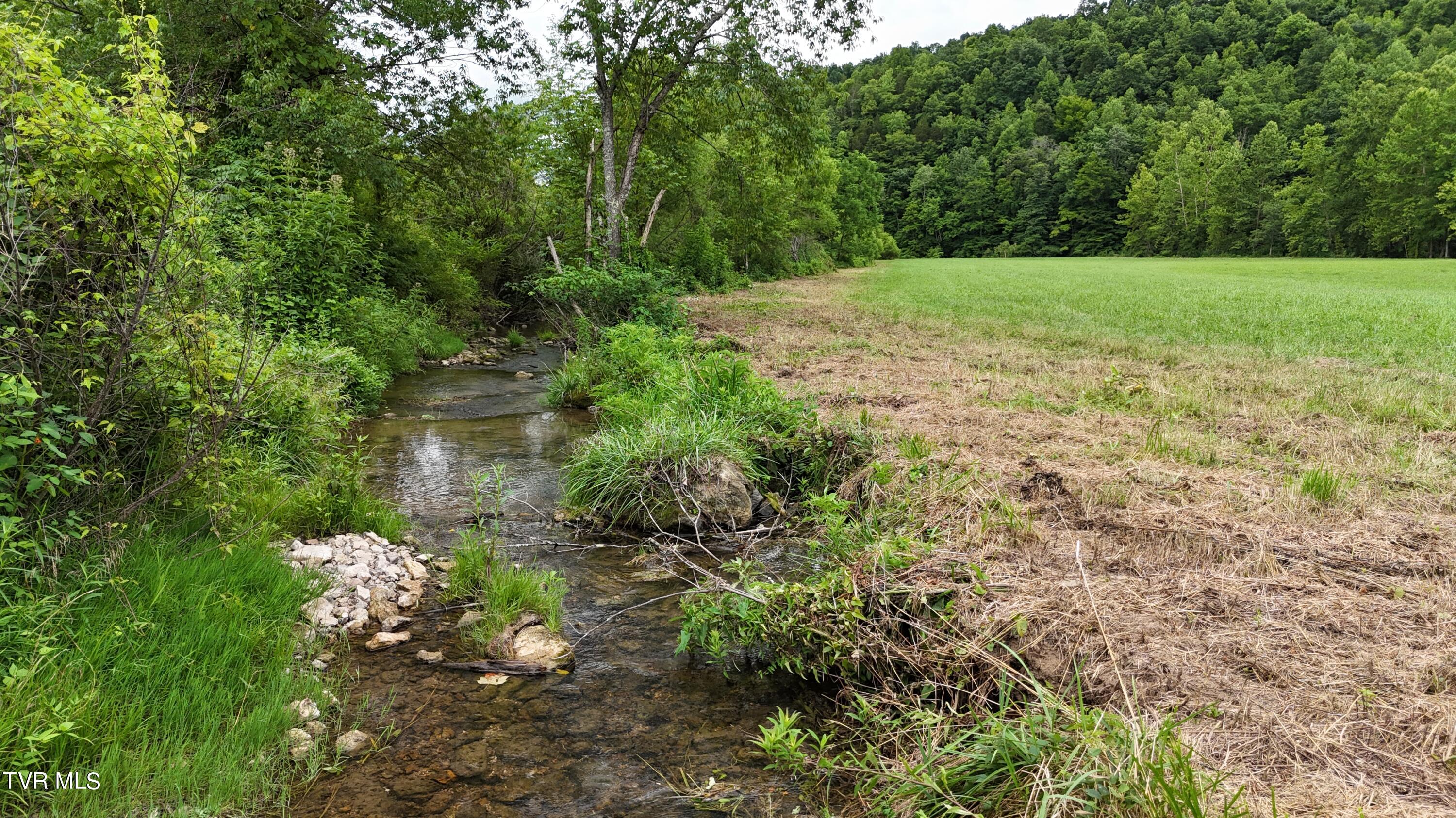 Tbd Burning Well Rd Road, Jonesville, Virginia image 13