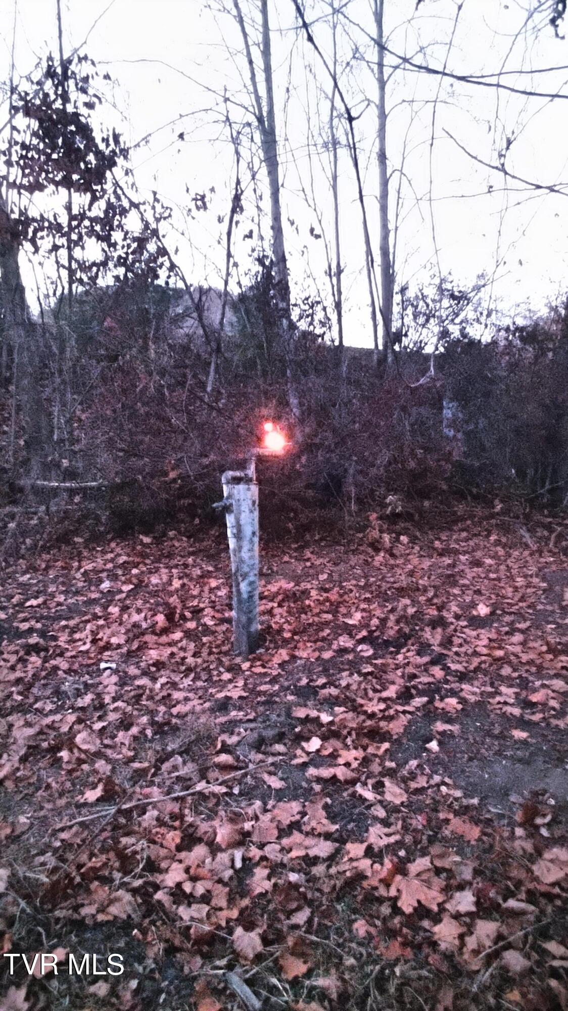 Tbd Burning Well Rd Road, Jonesville, Virginia image 1