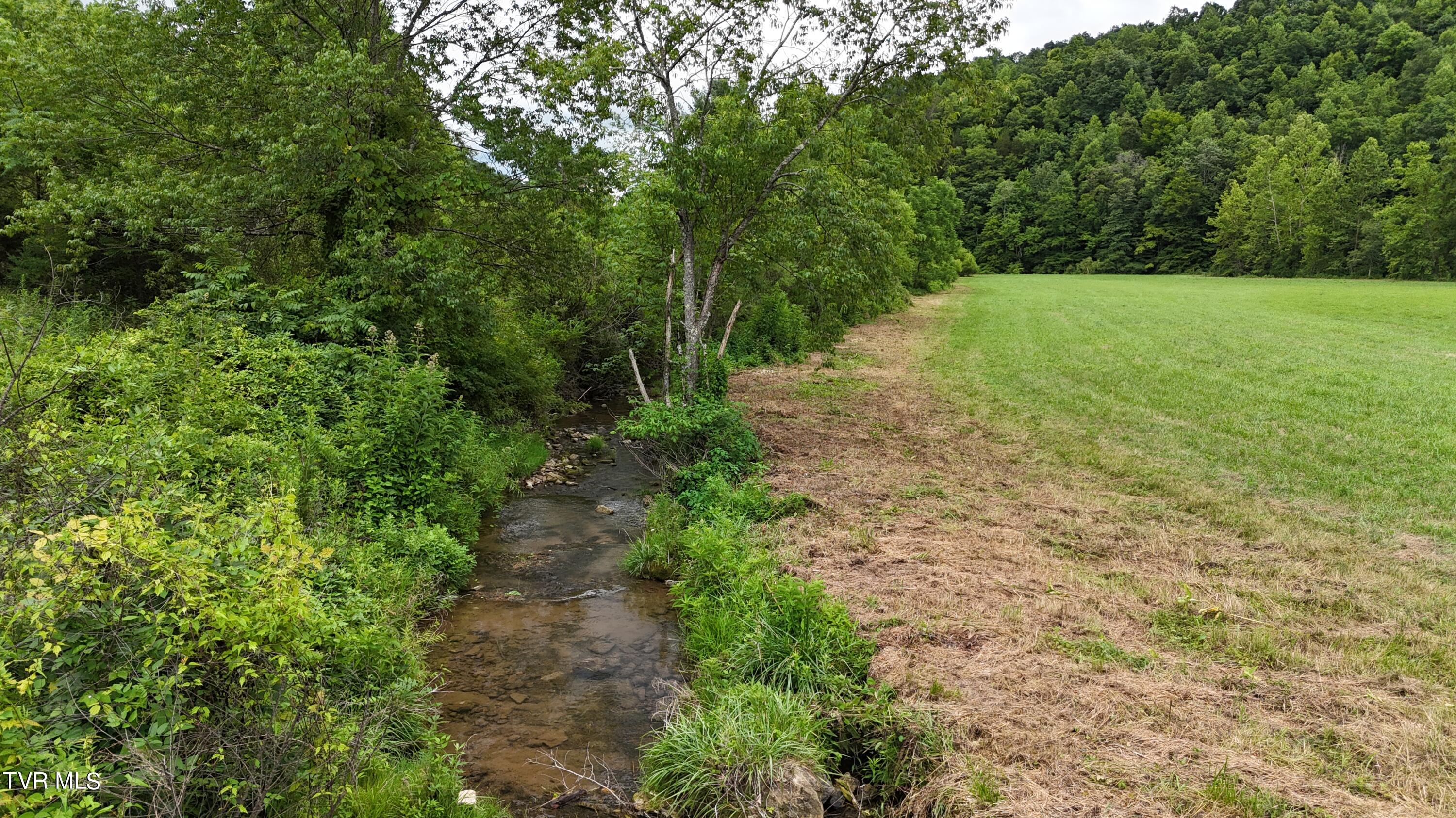 Tbd Burning Well Rd Road, Jonesville, Virginia image 12