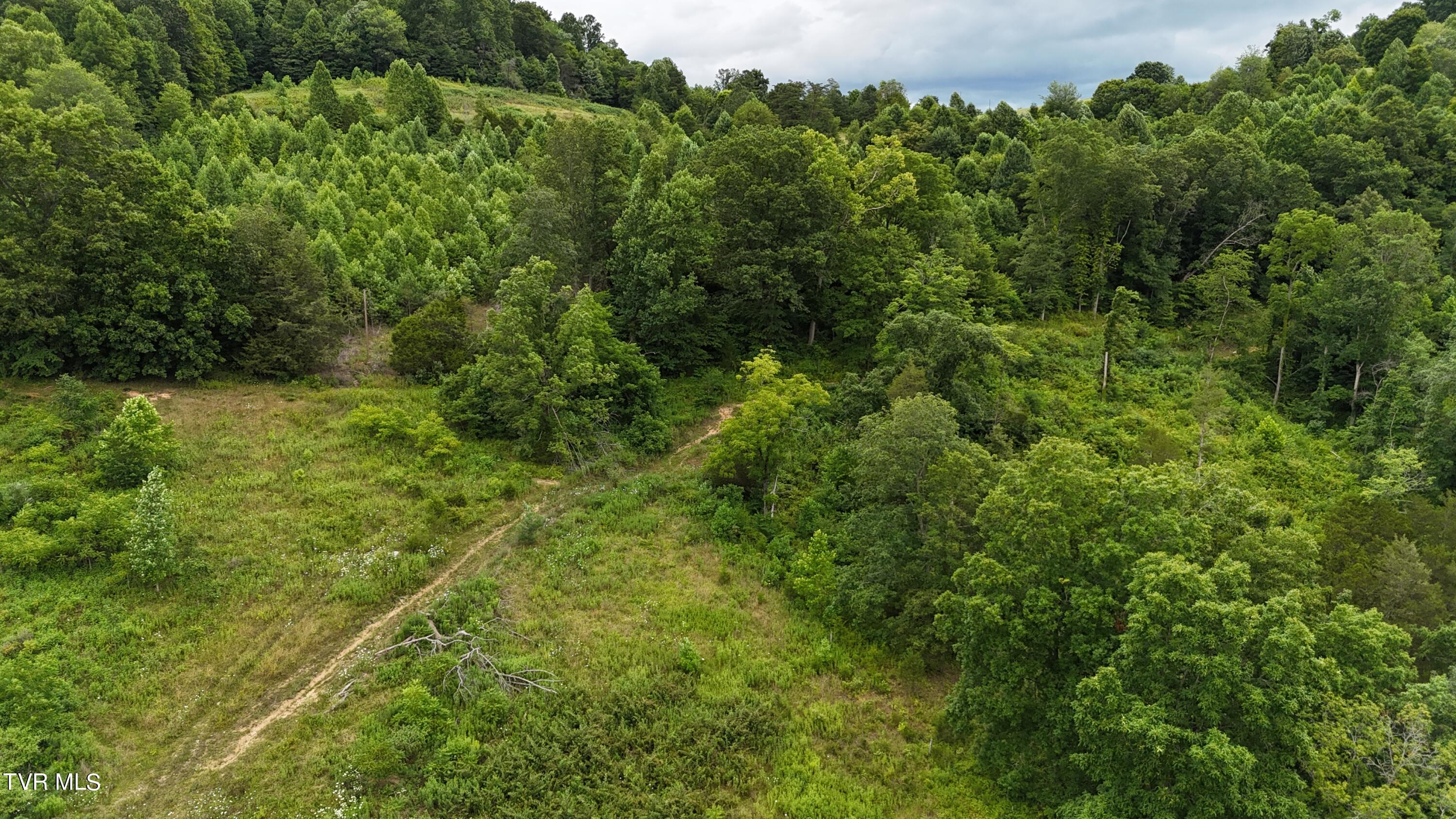 Tbd Burning Well Rd Road, Jonesville, Virginia image 46