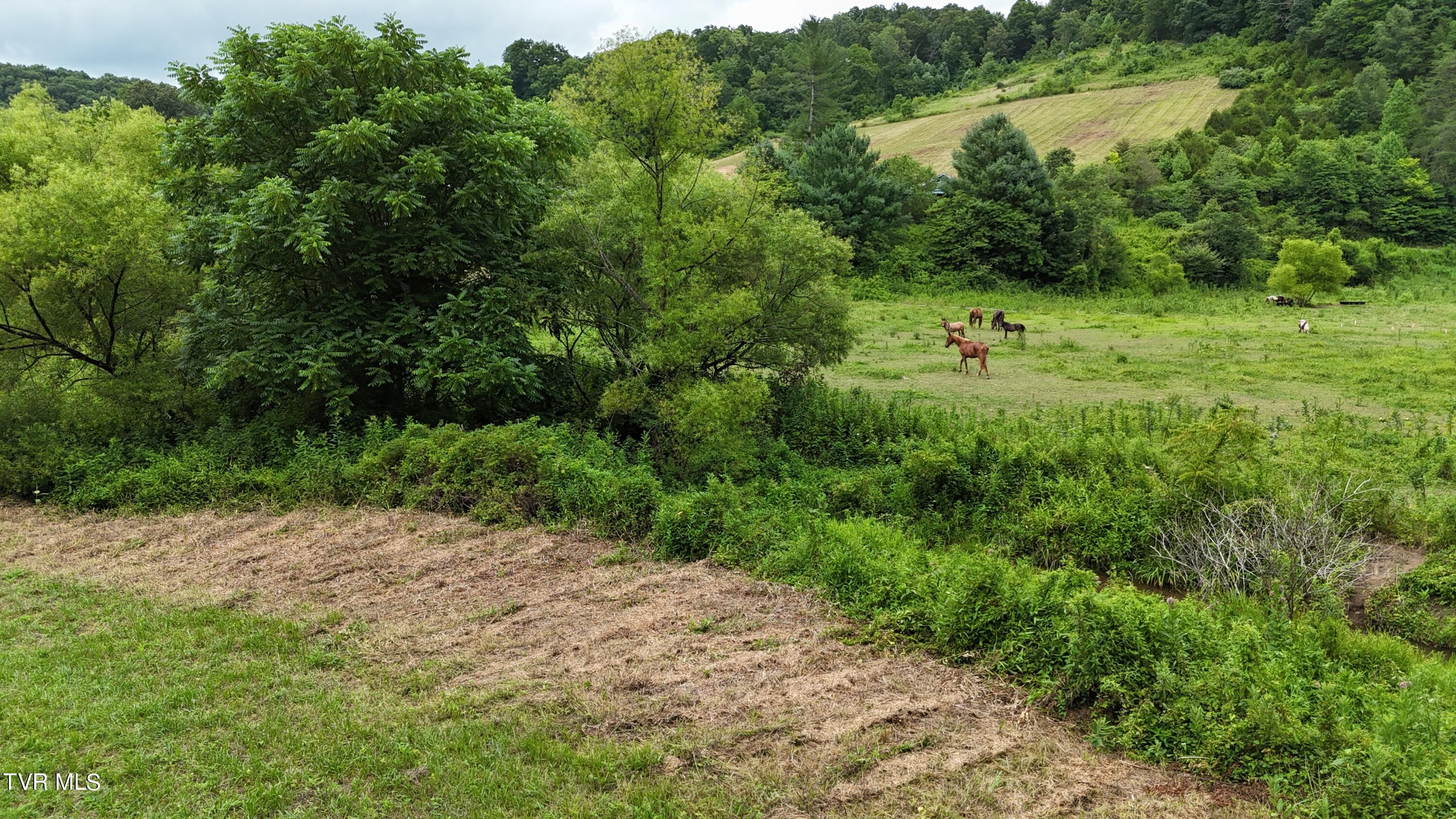 Tbd Burning Well Rd Road, Jonesville, Virginia image 32