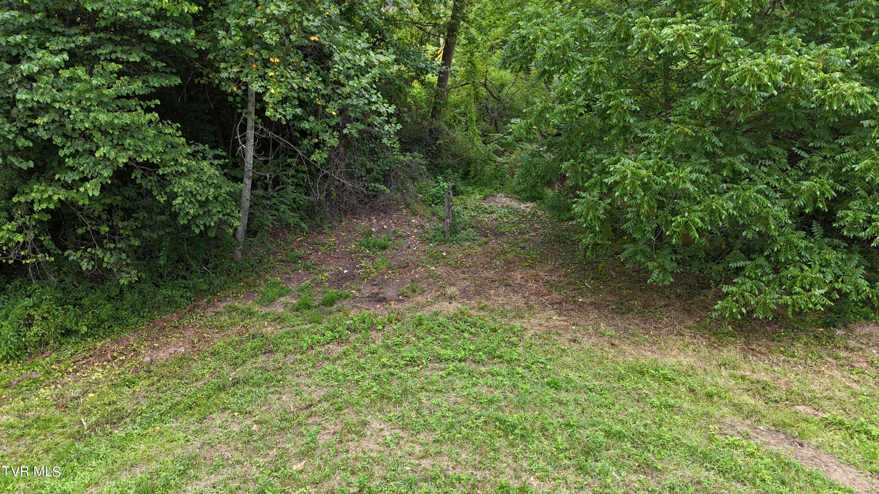 Tbd Burning Well Rd Road, Jonesville, Virginia image 17