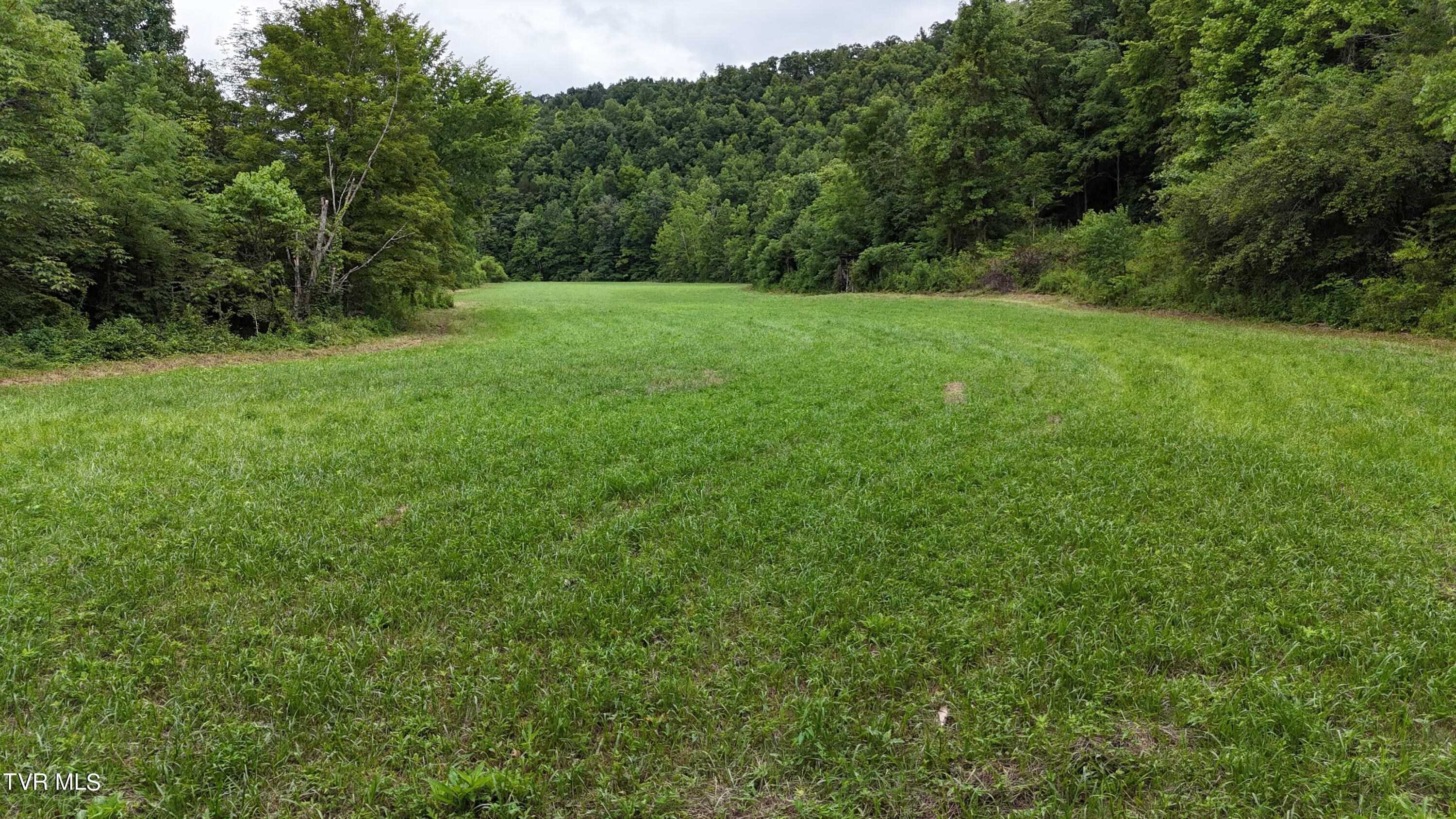 Tbd Burning Well Rd Road, Jonesville, Virginia image 18