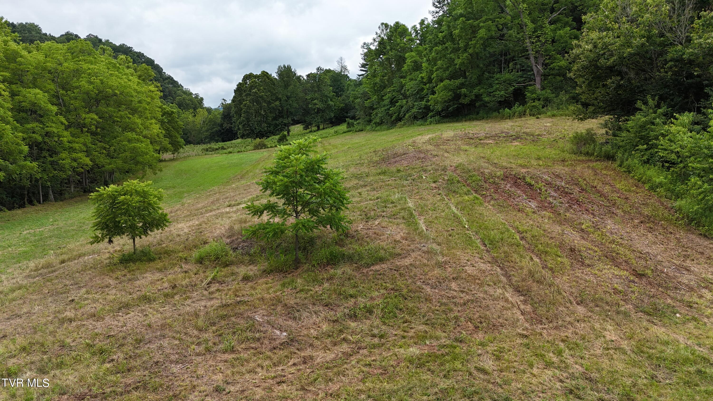 Tbd Burning Well Rd Road, Jonesville, Virginia image 24