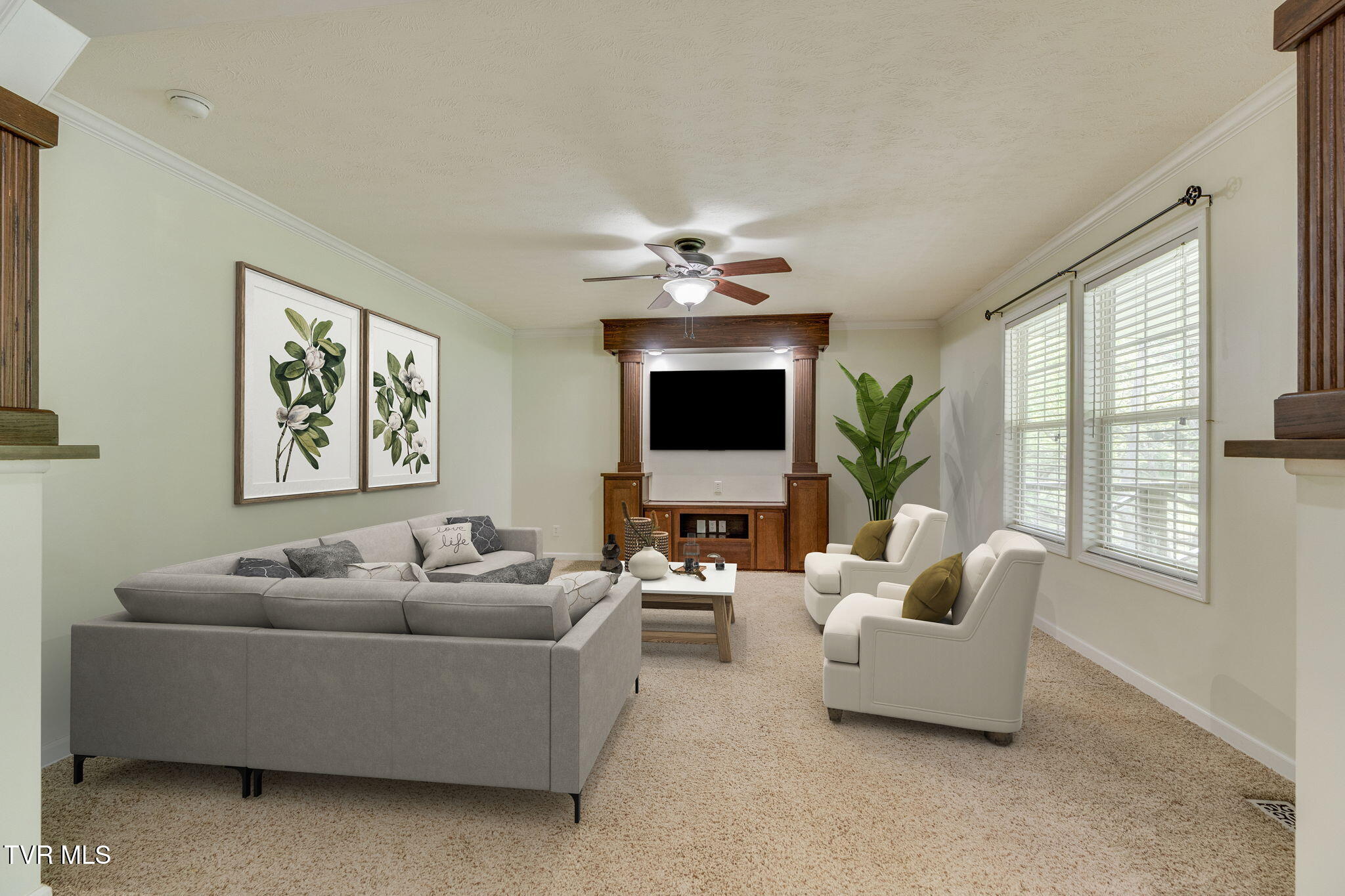 474 Thornburg Road, Fall Branch, Tennessee image 17