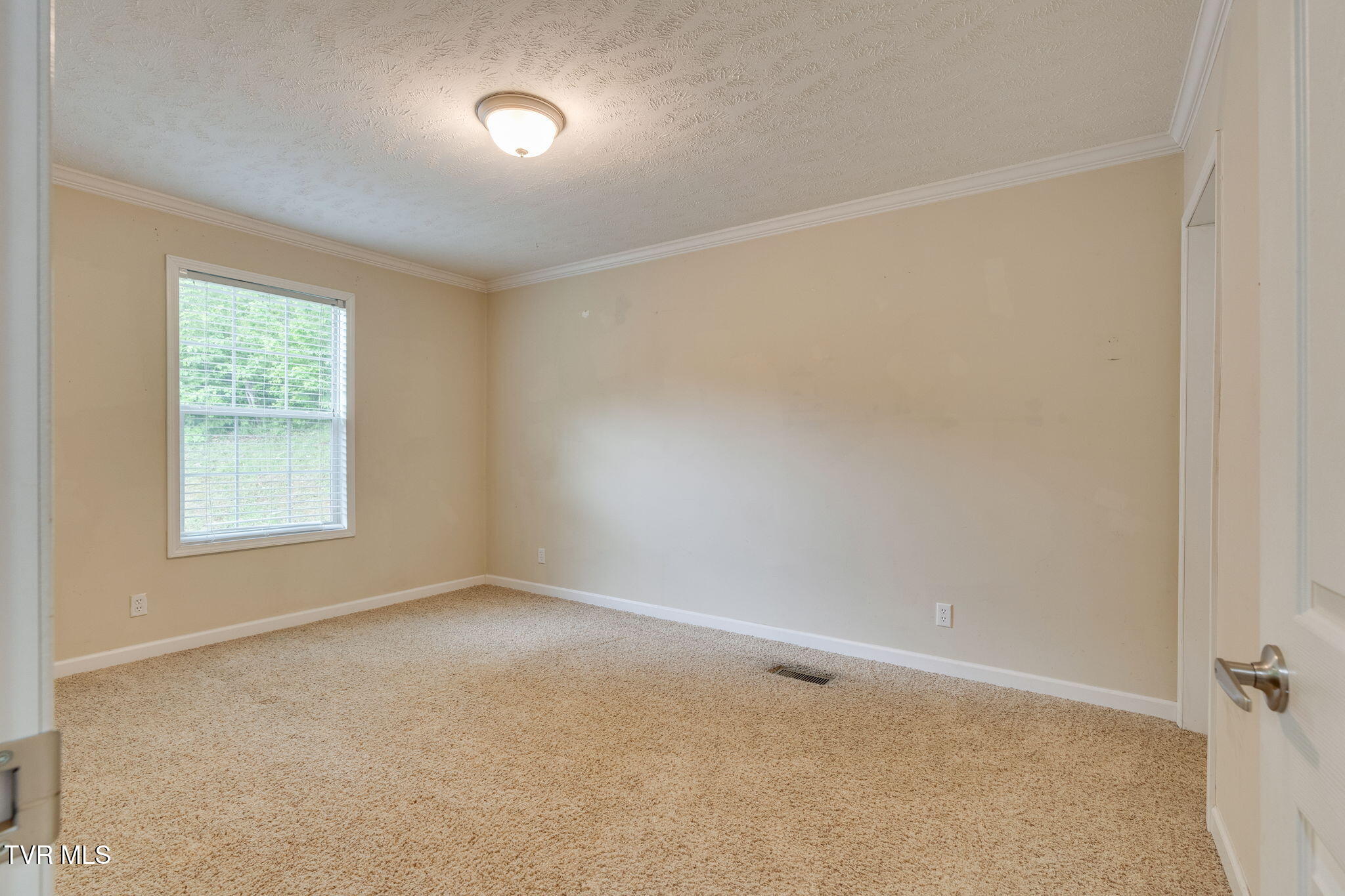474 Thornburg Road, Fall Branch, Tennessee image 25