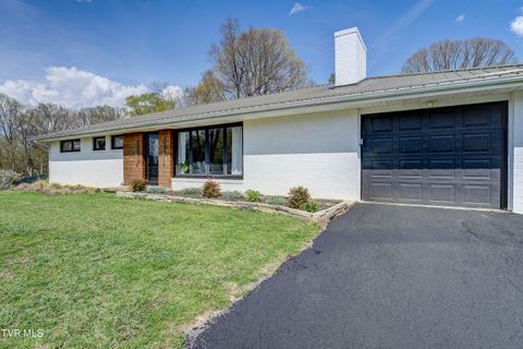 Homes For Sale - 616 Hammond Avenue<br/> Mount Carmel, TN 37645