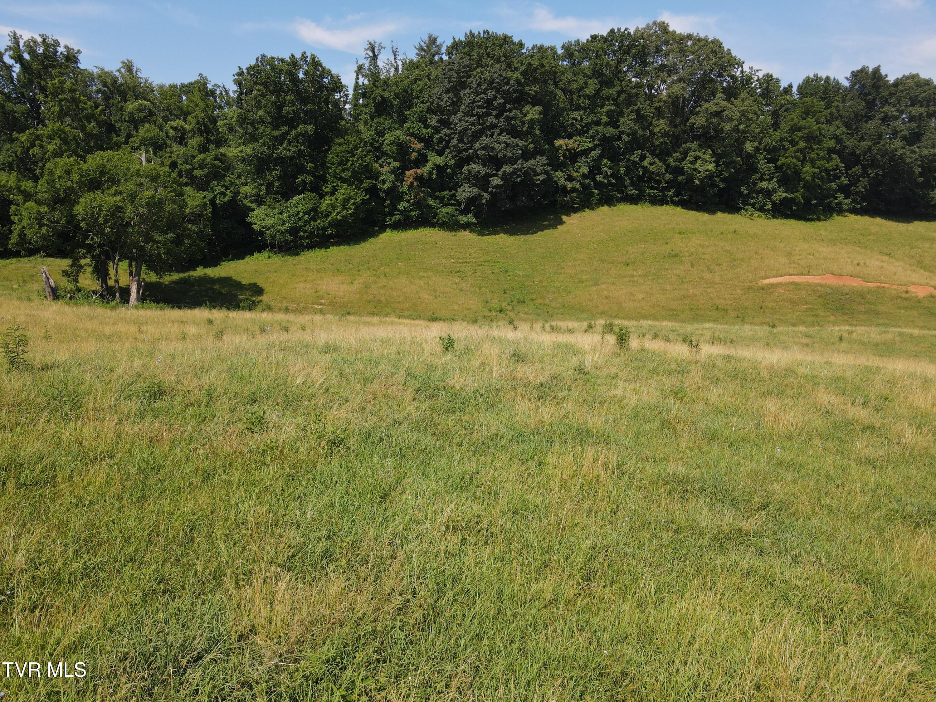 Tbd Bailey Bridge Rd, Limestone, Tennessee image 11