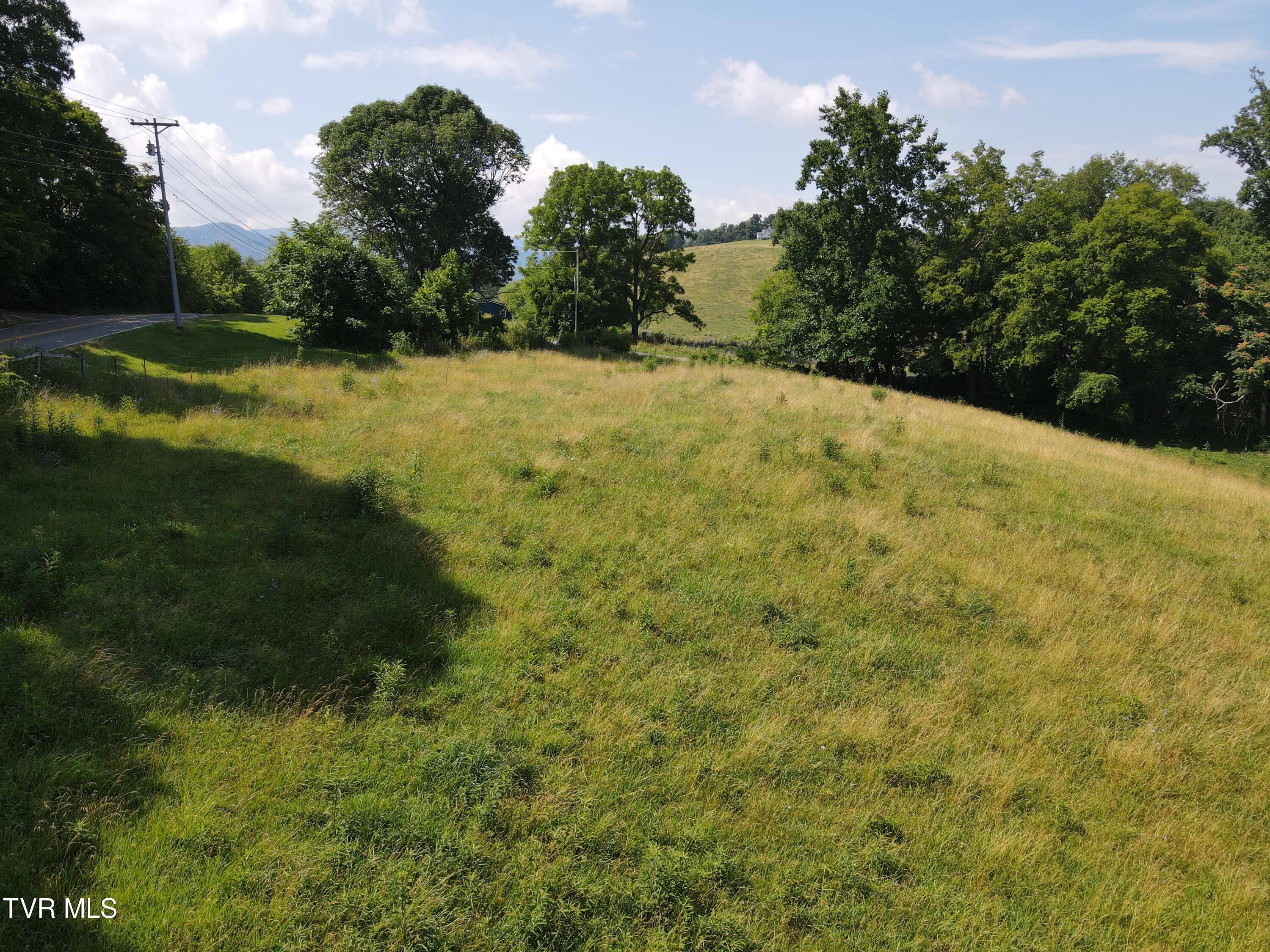 Tbd Bailey Bridge Rd, Limestone, Tennessee image 9