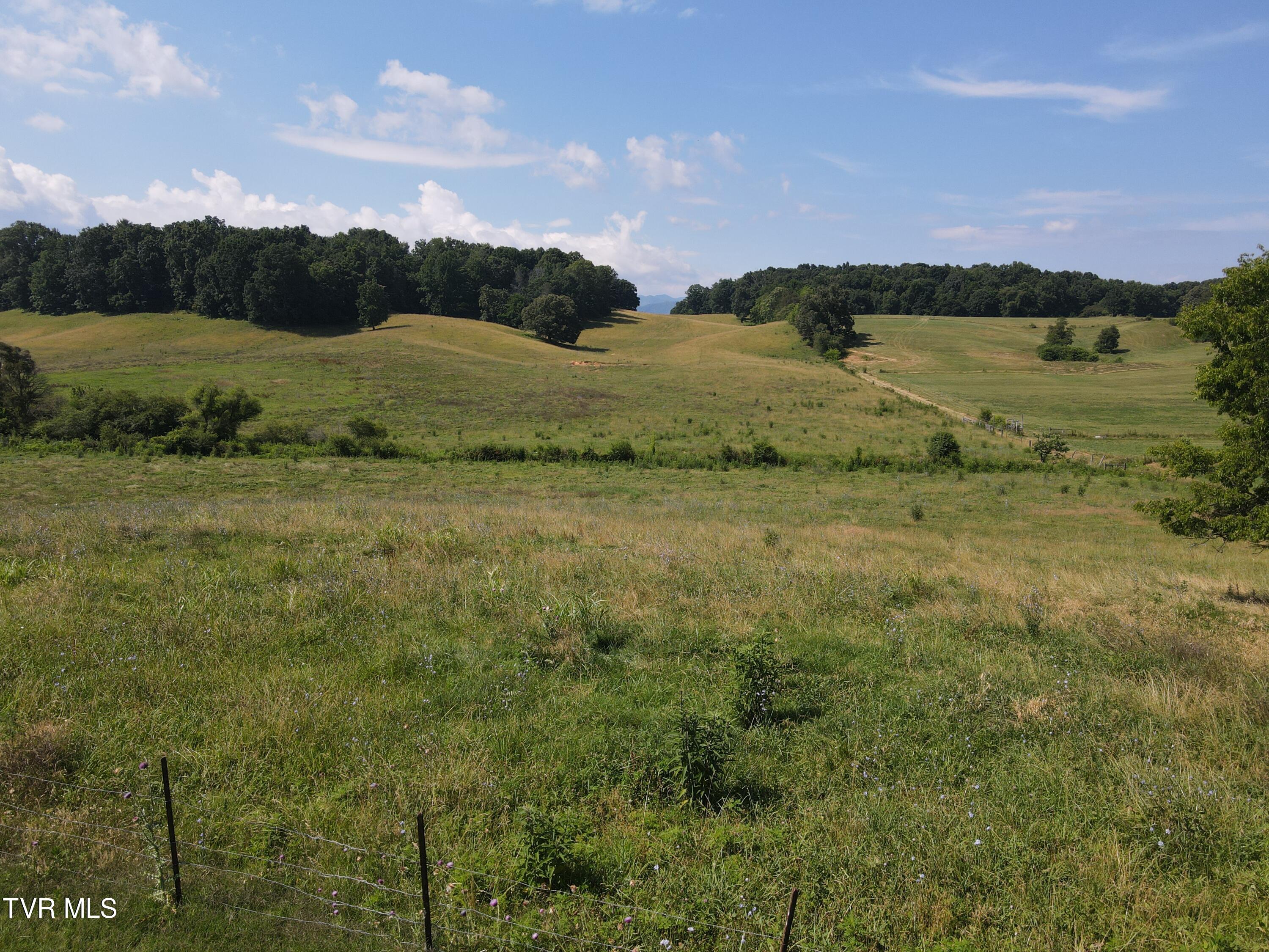 Tbd Bailey Bridge Rd, Limestone, Tennessee image 3